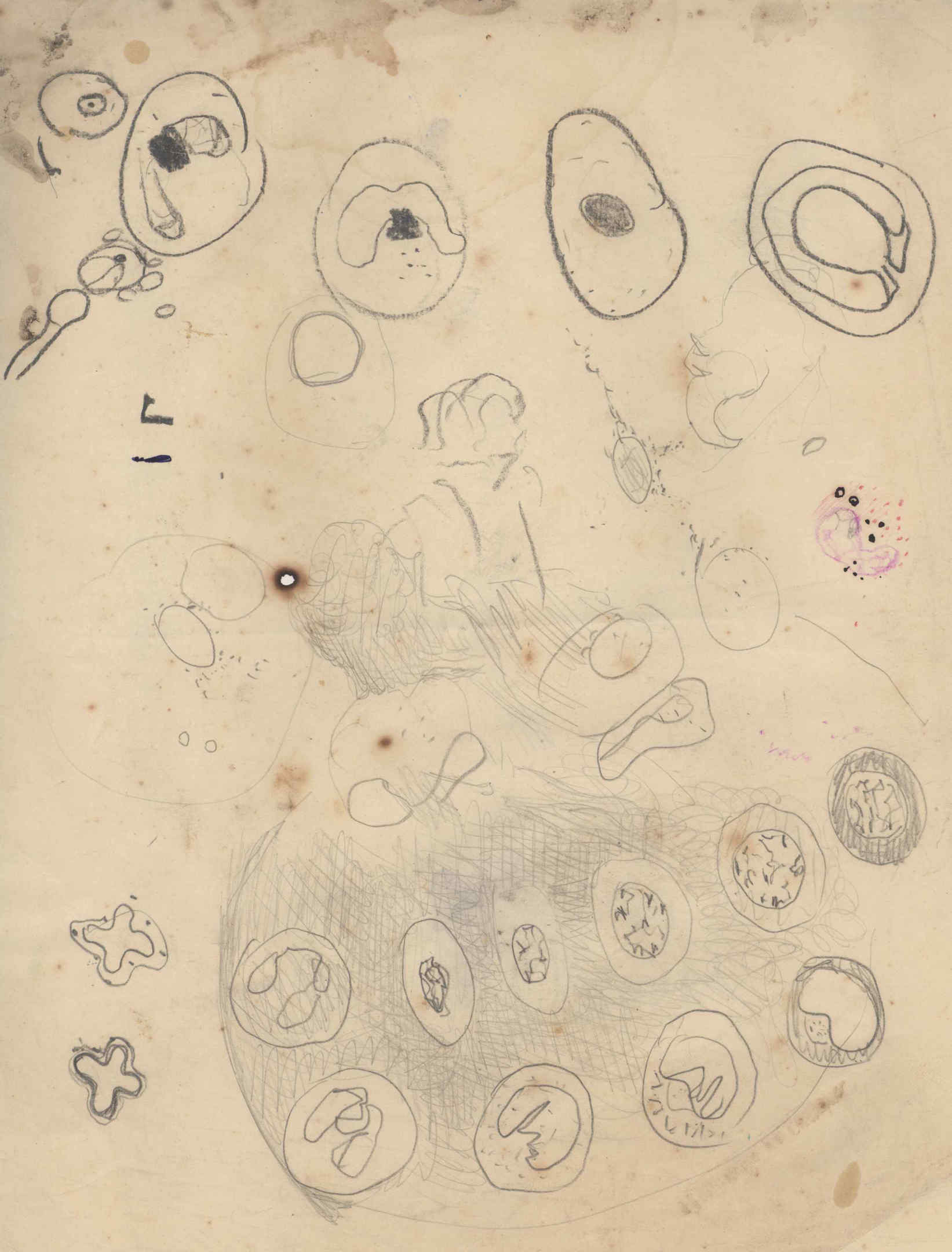 05392.032- pag.23