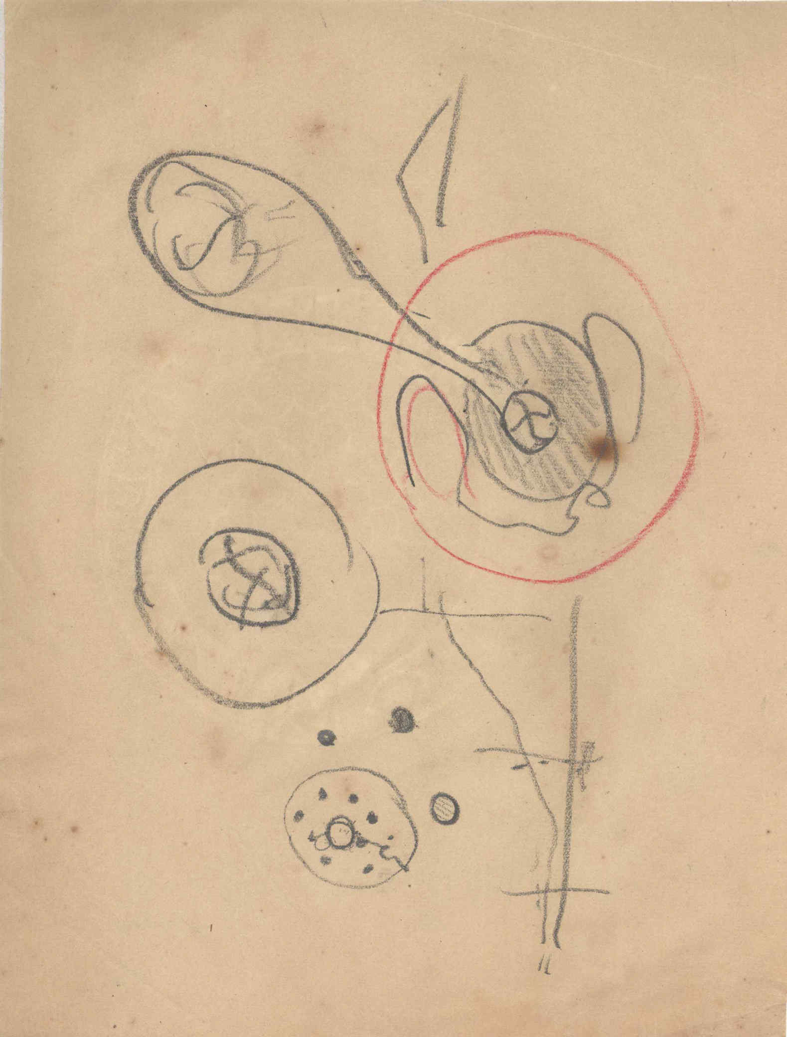 05392.032- pag.24