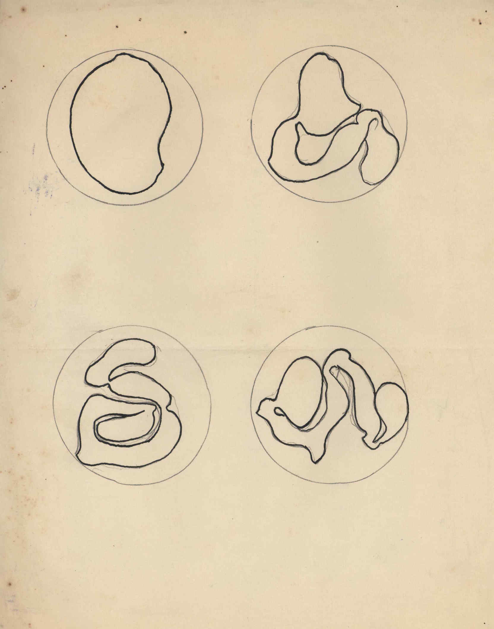 05392.032- pag.26