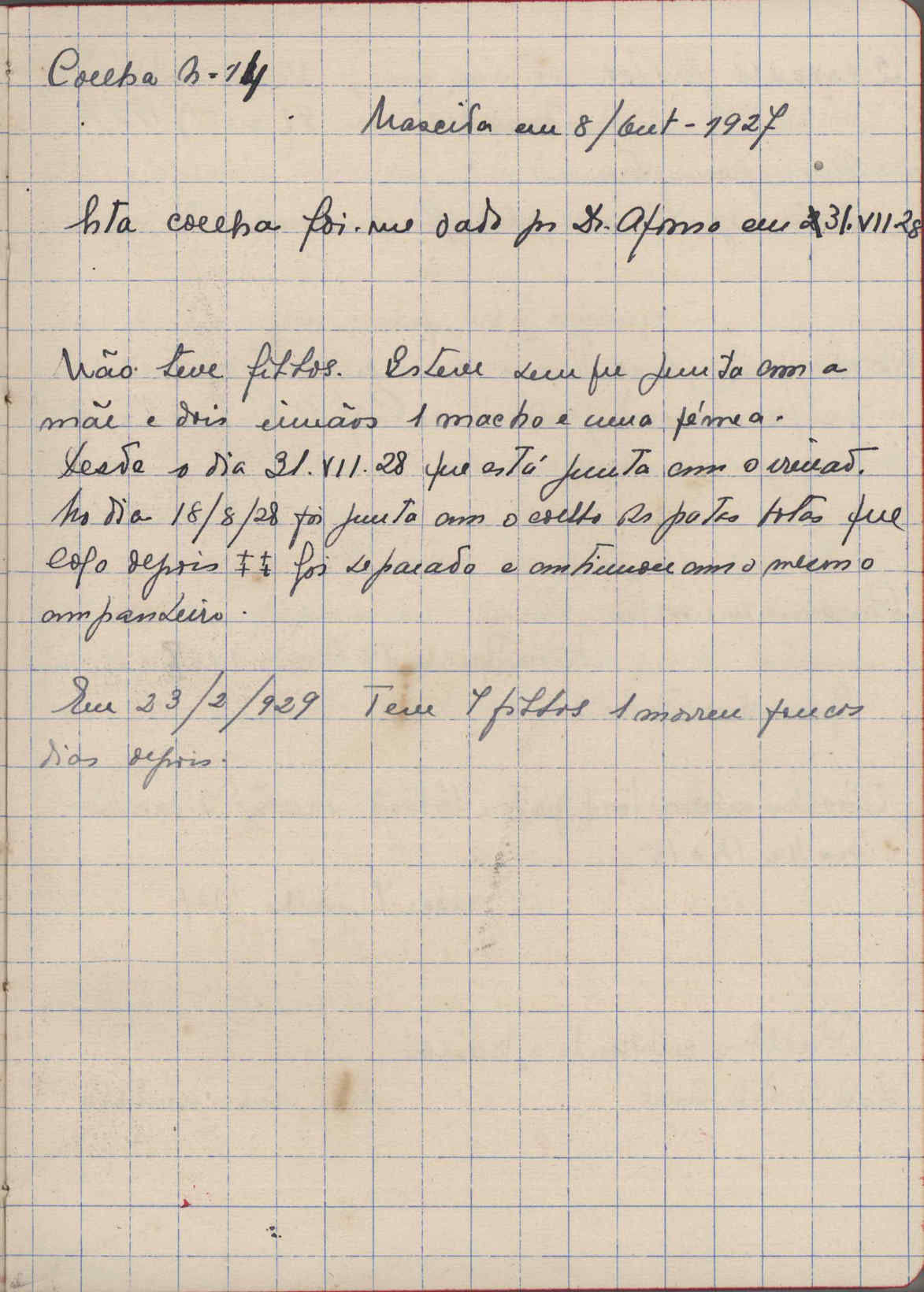 05392.068- pag.29