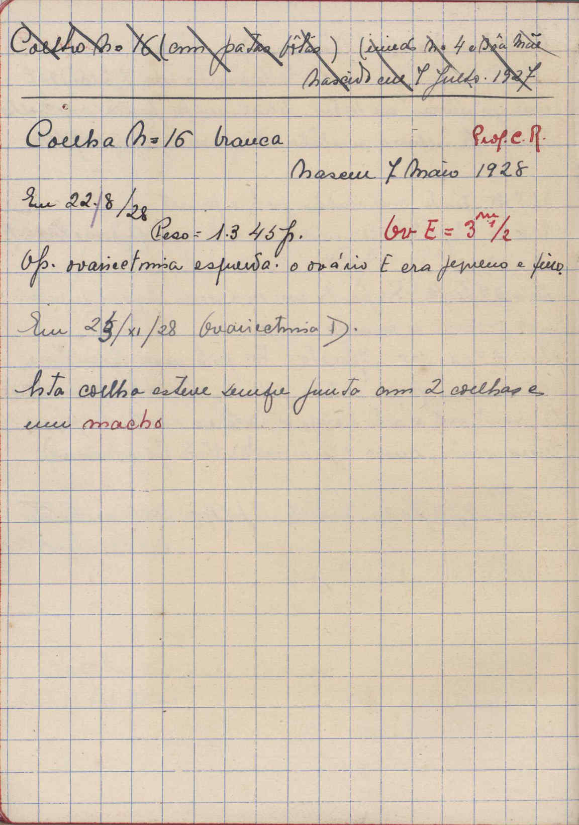 05392.068- pag.32