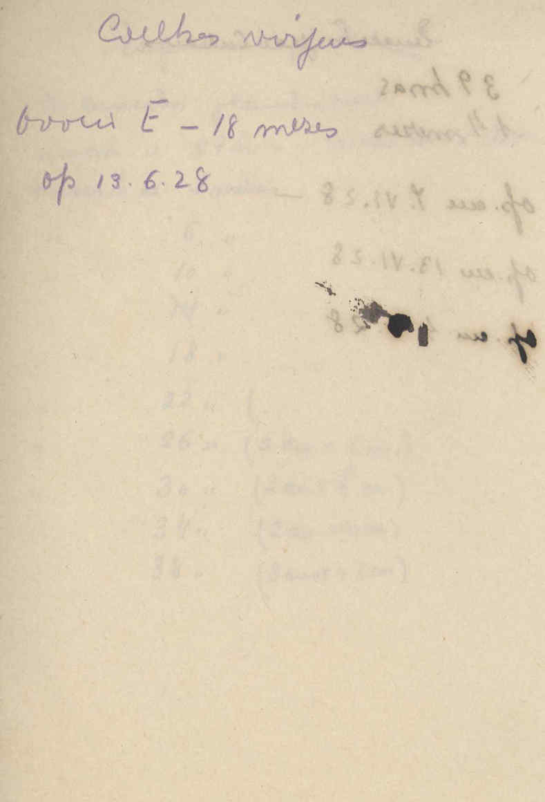 05392.068- pag.61
