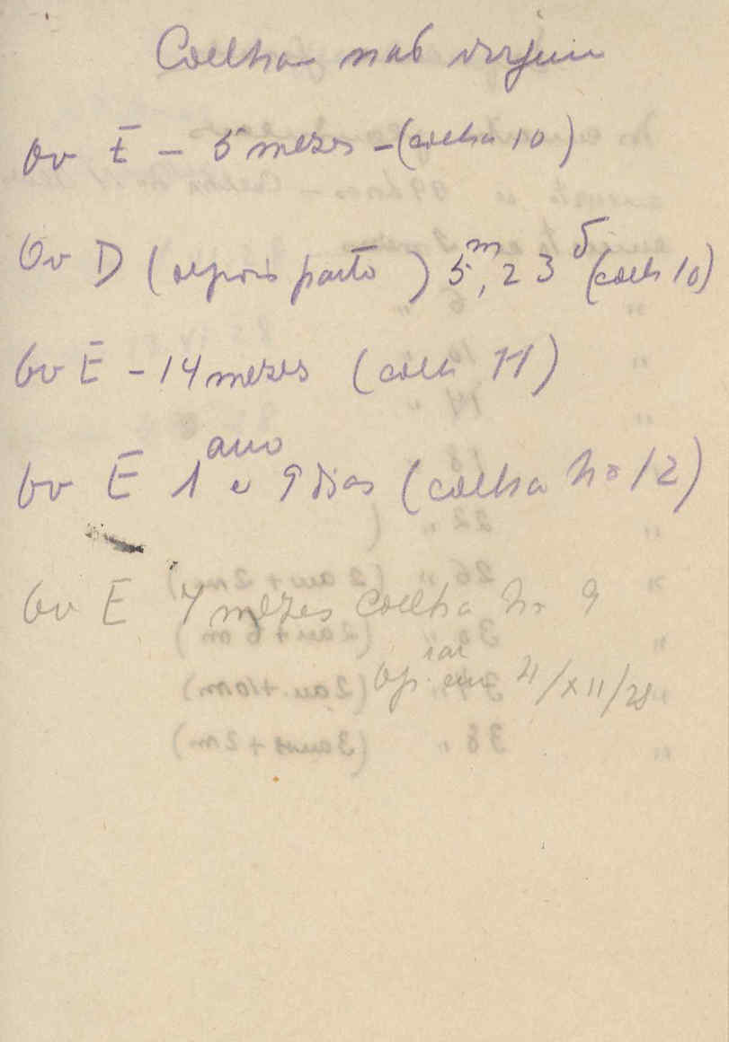 05392.068- pag.62