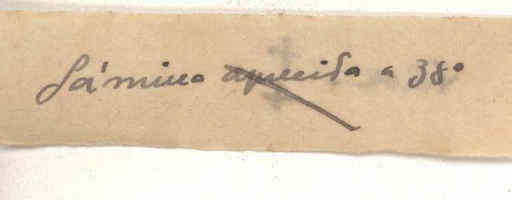 05392.068- pag.96
