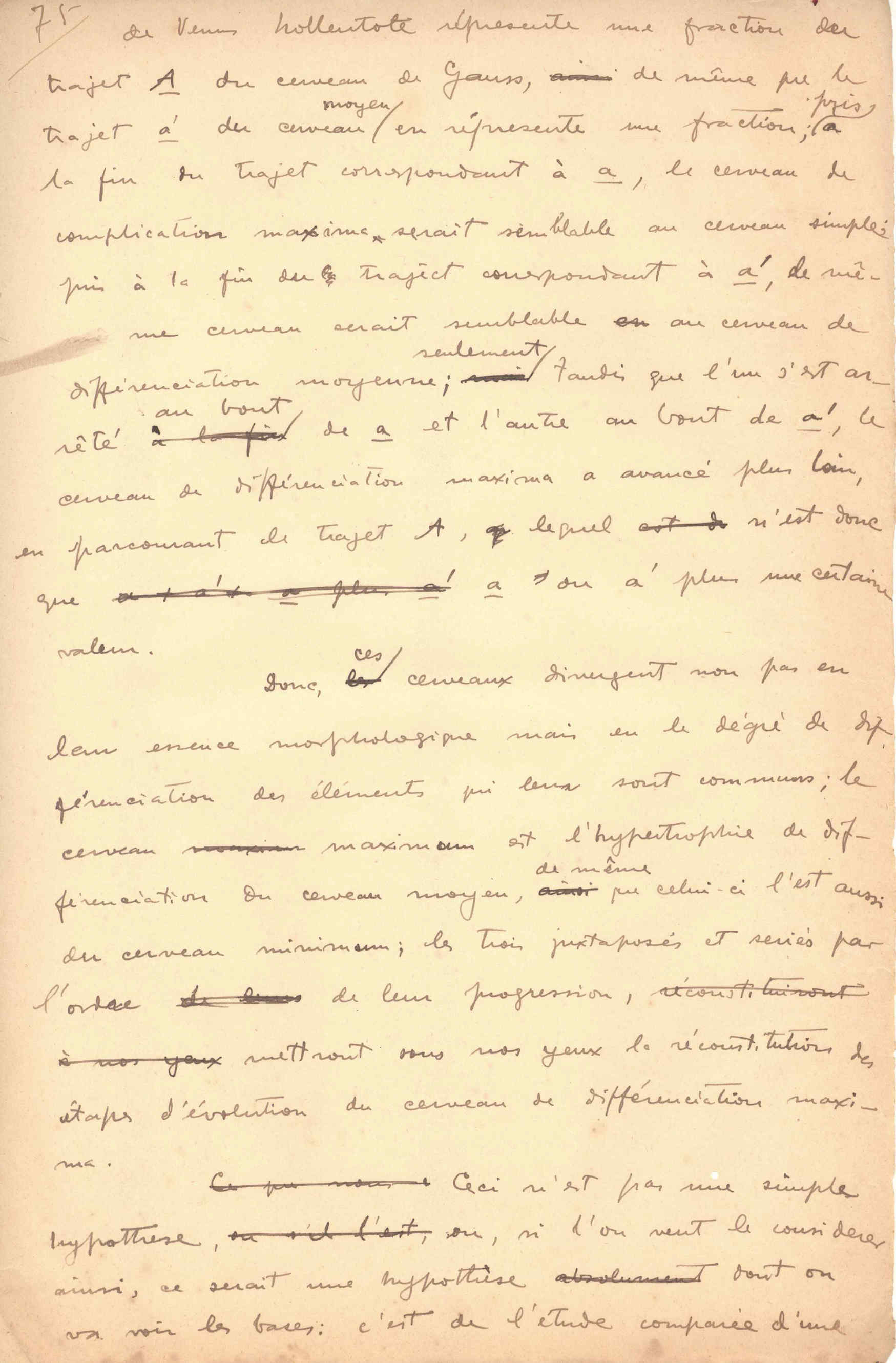 05394.015- pag.31