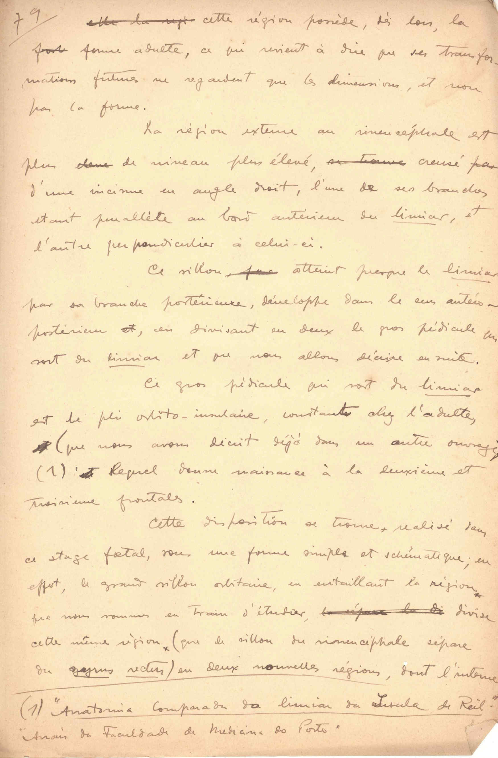05394.015- pag.36
