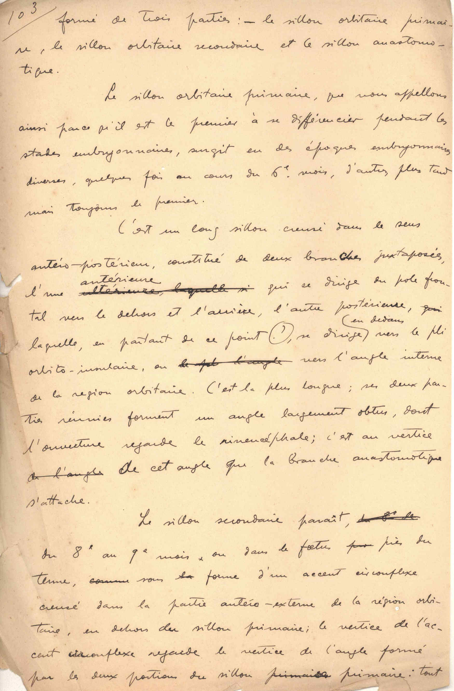 05394.015- pag.61