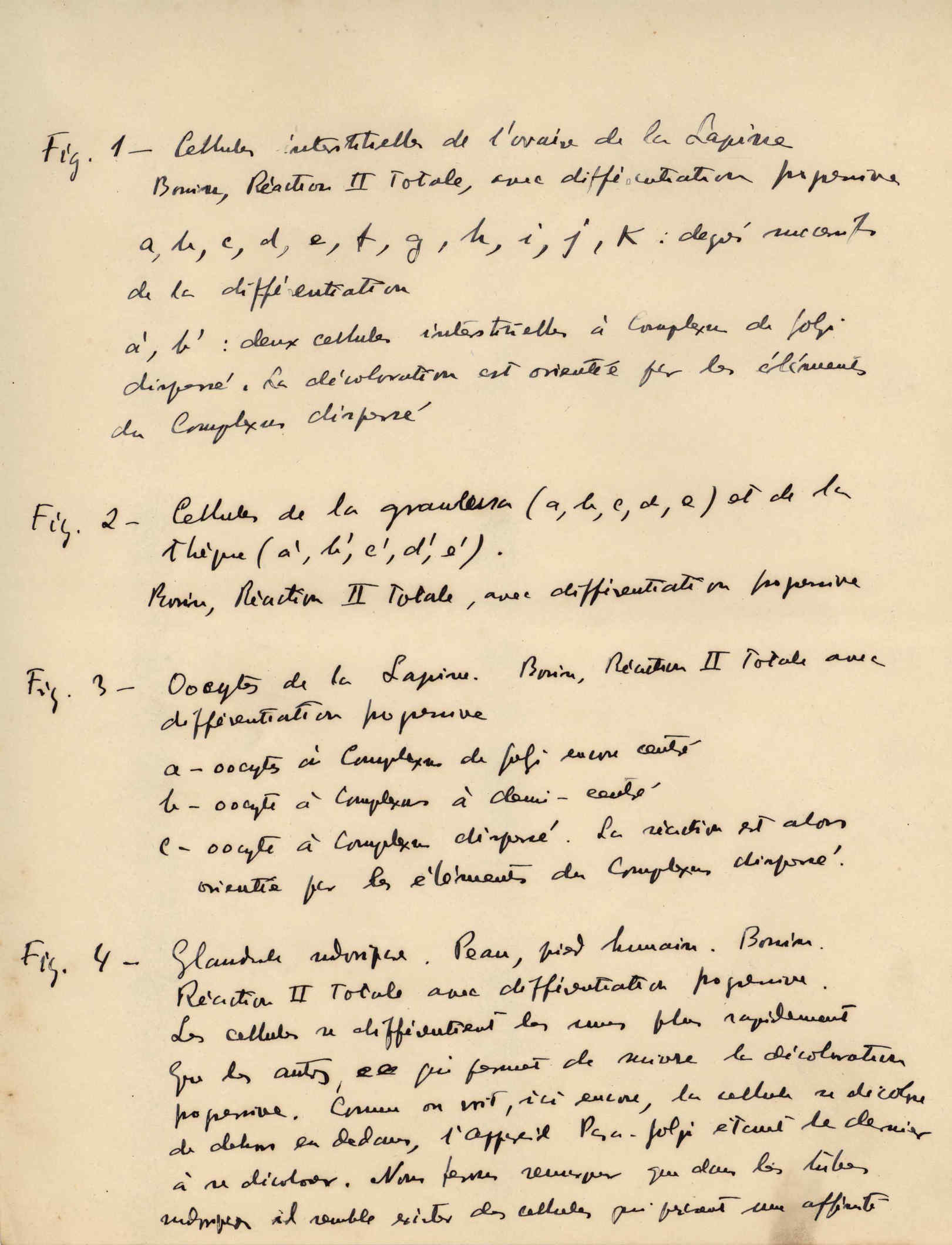05397.014- pag.16
