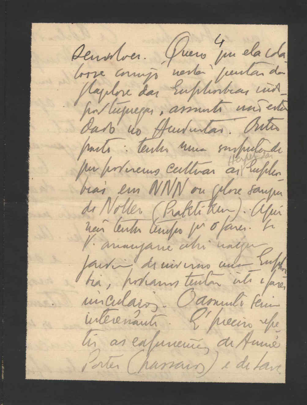 05403.160- pag.13