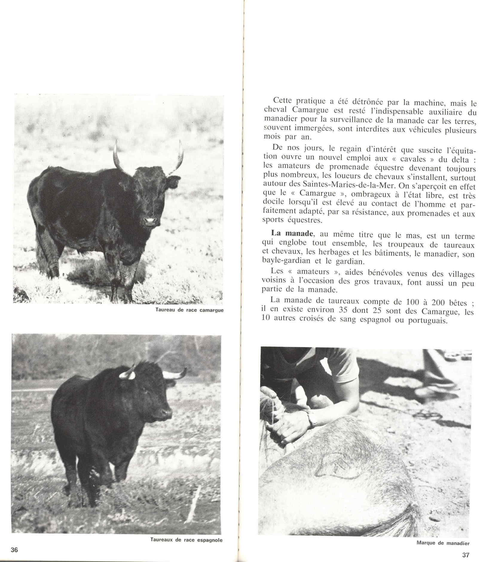 05436.006- pag.22