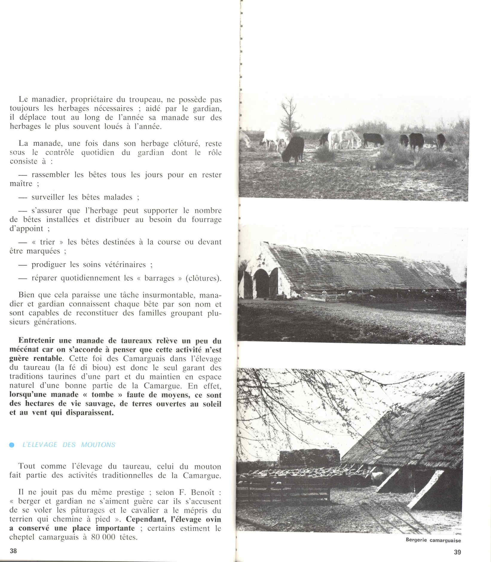 05436.006- pag.23