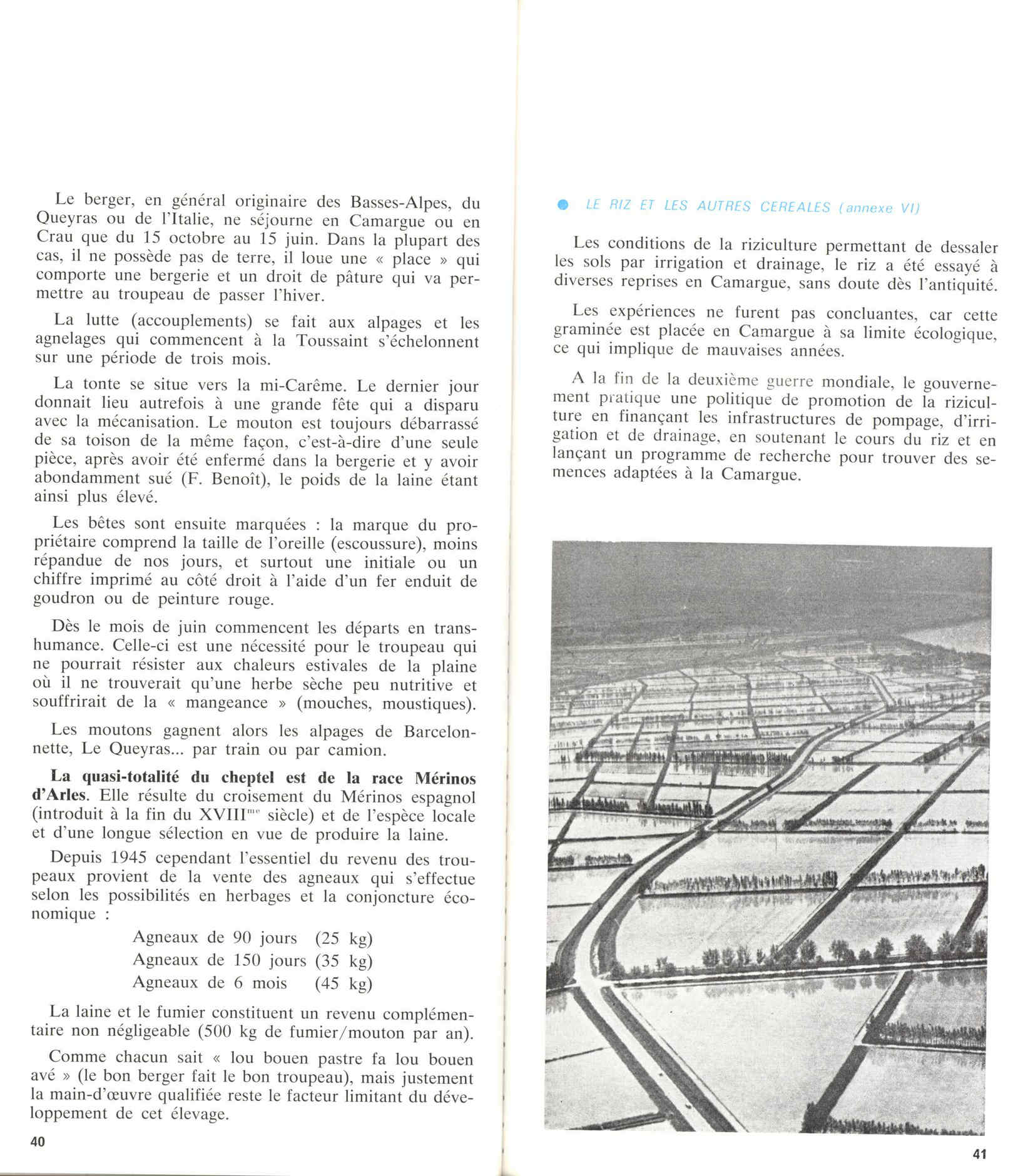 05436.006- pag.24