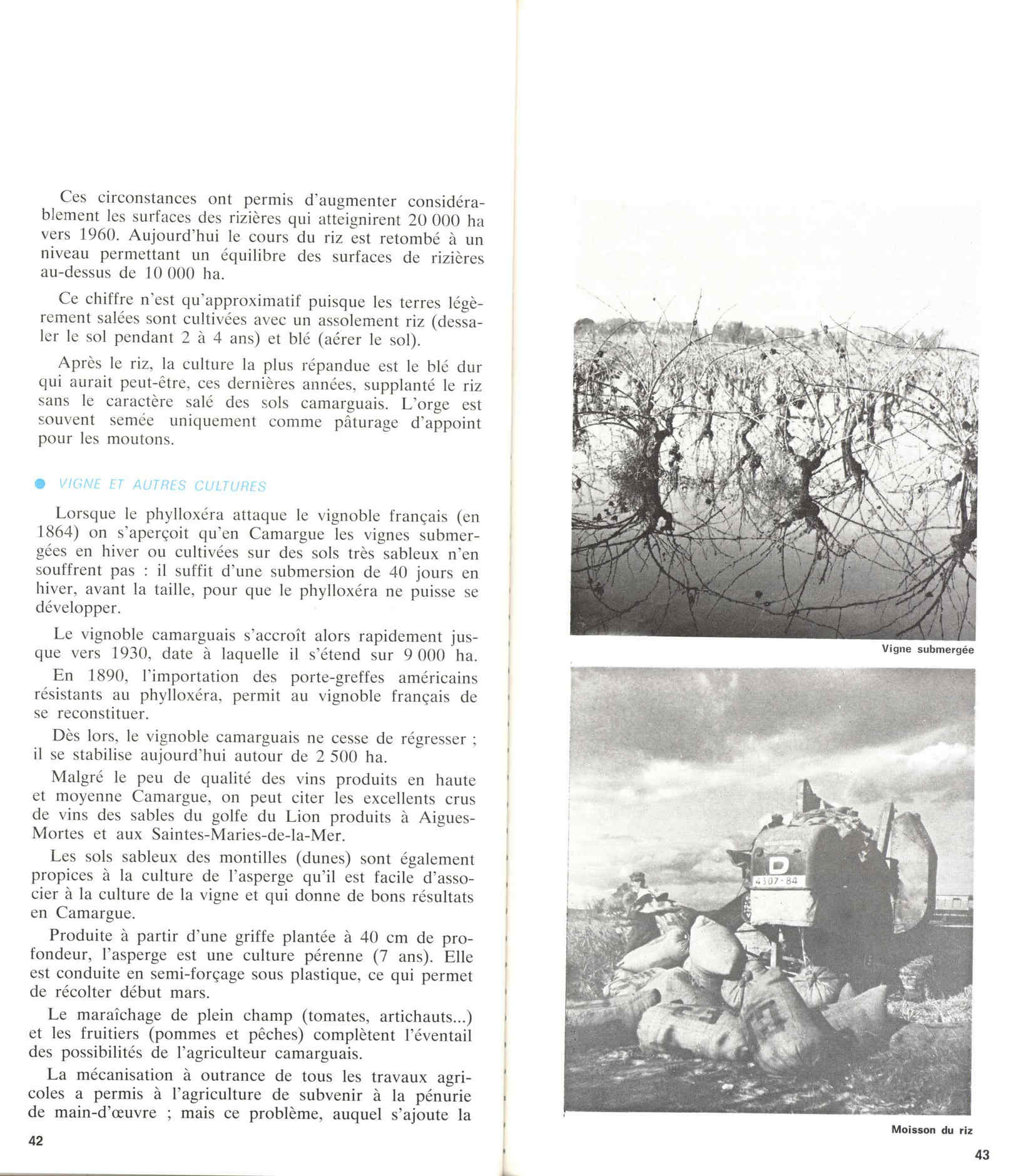 05436.006- pag.25