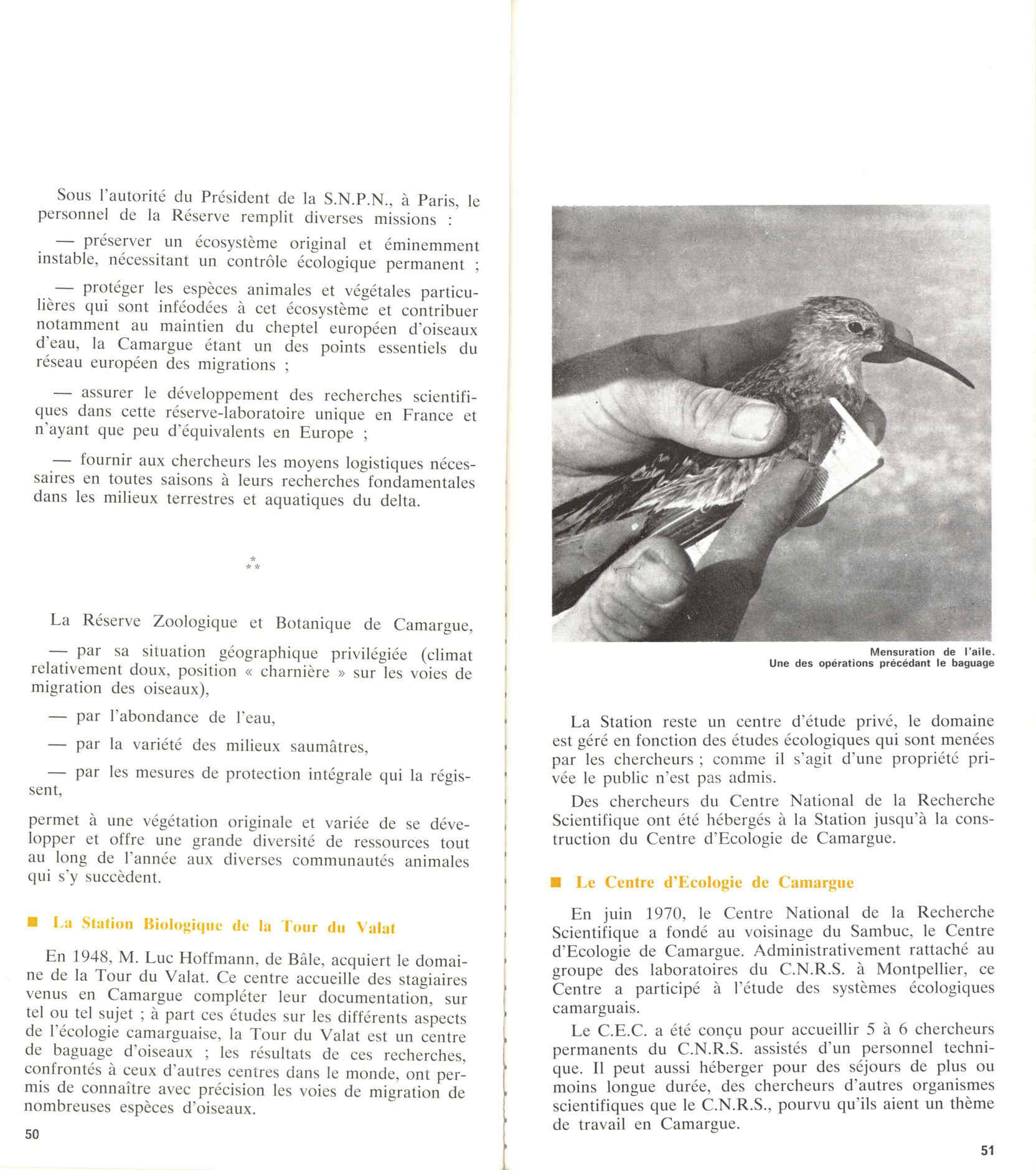 05436.006- pag.29
