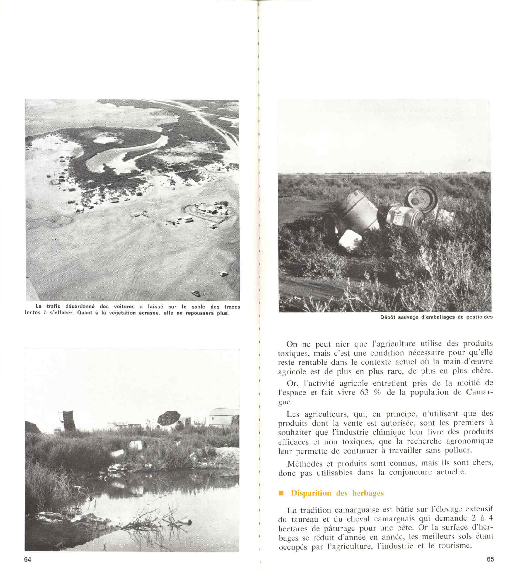 05436.006- pag.36