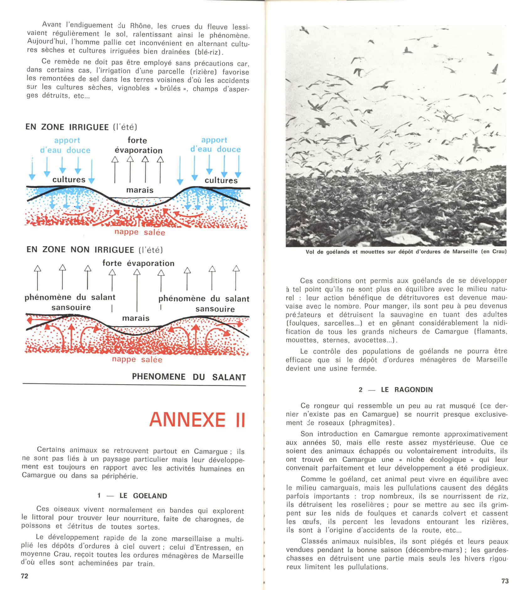 05436.006- pag.40