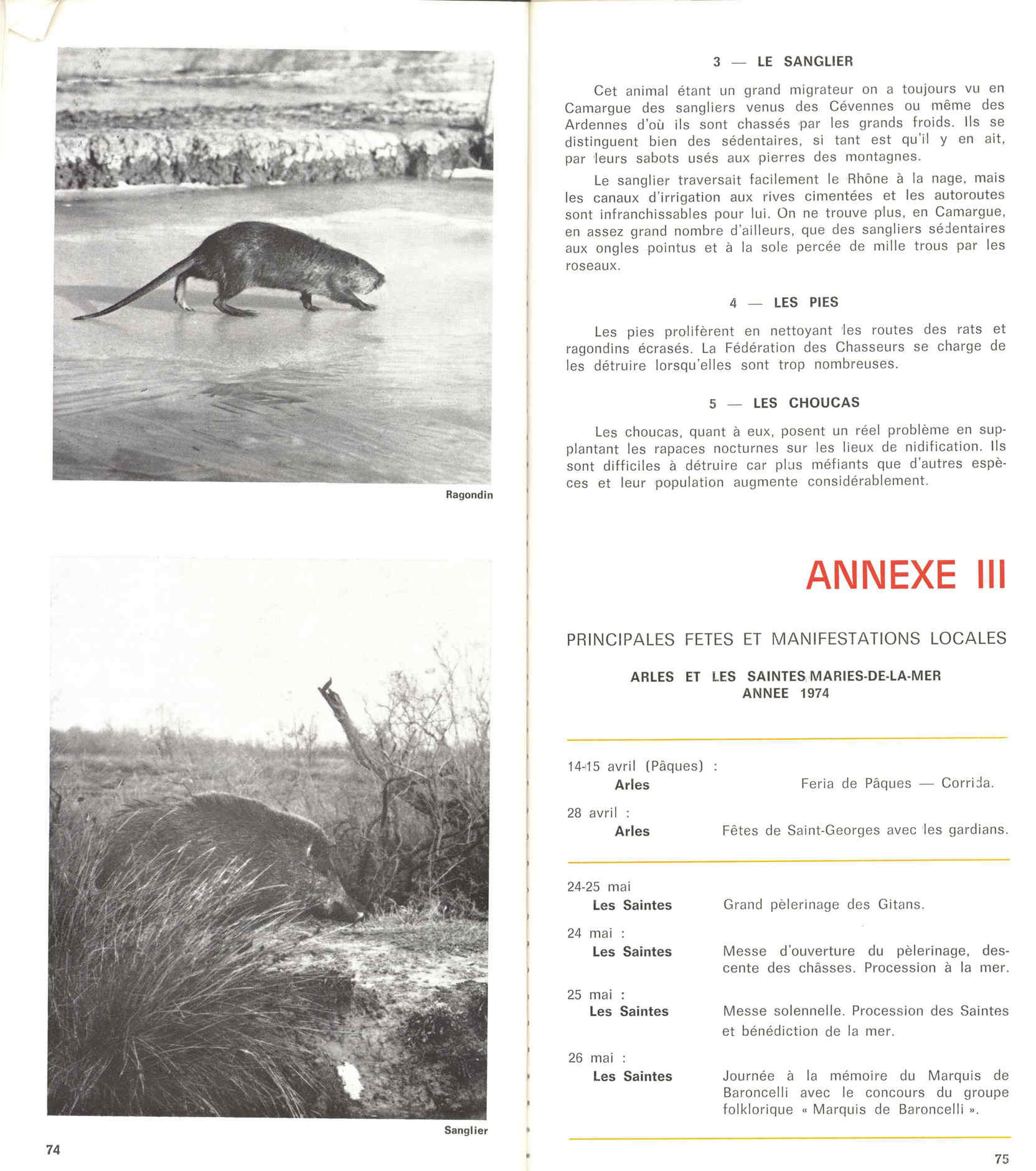05436.006- pag.41