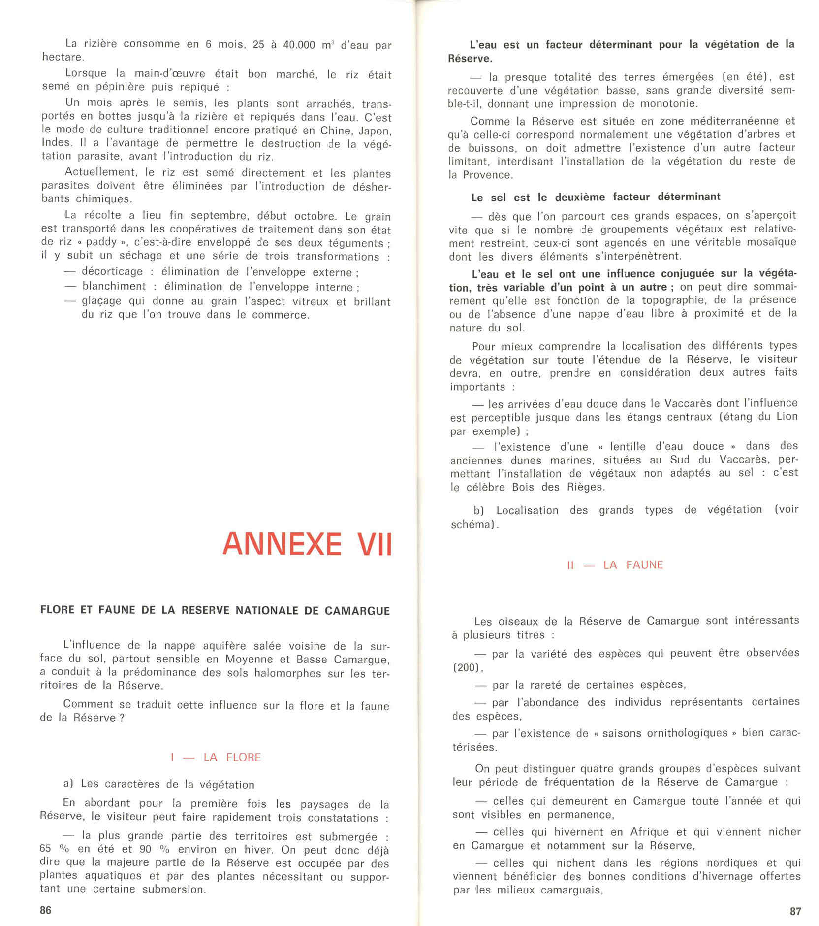 05436.006- pag.49