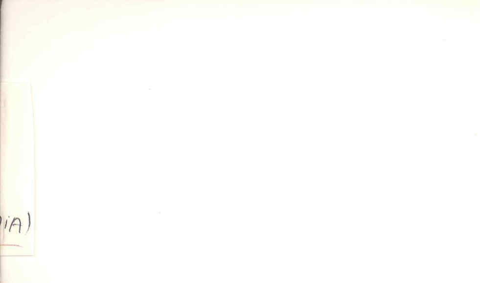 05453.003- pag.43