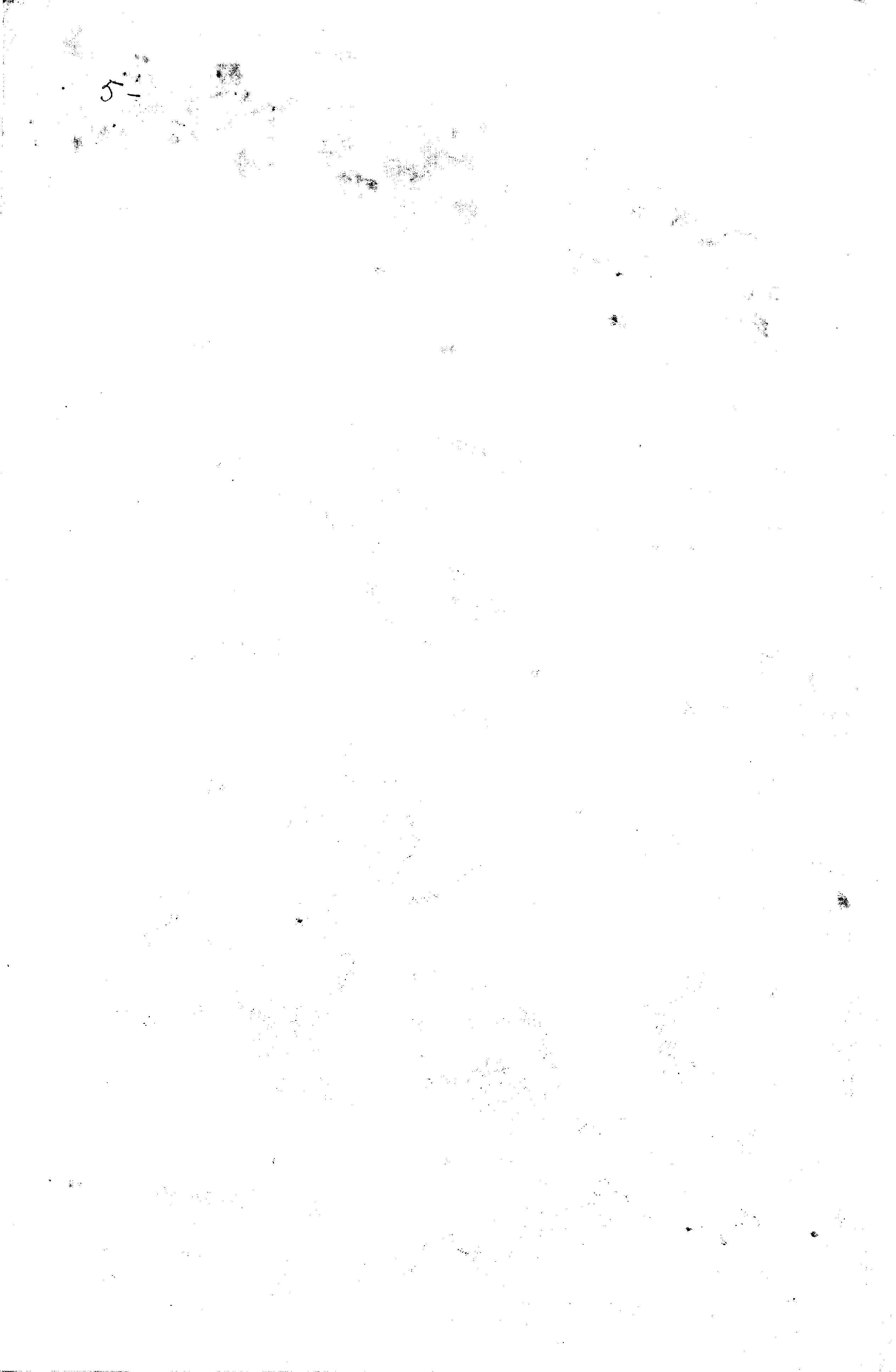 06225.148- pag.62