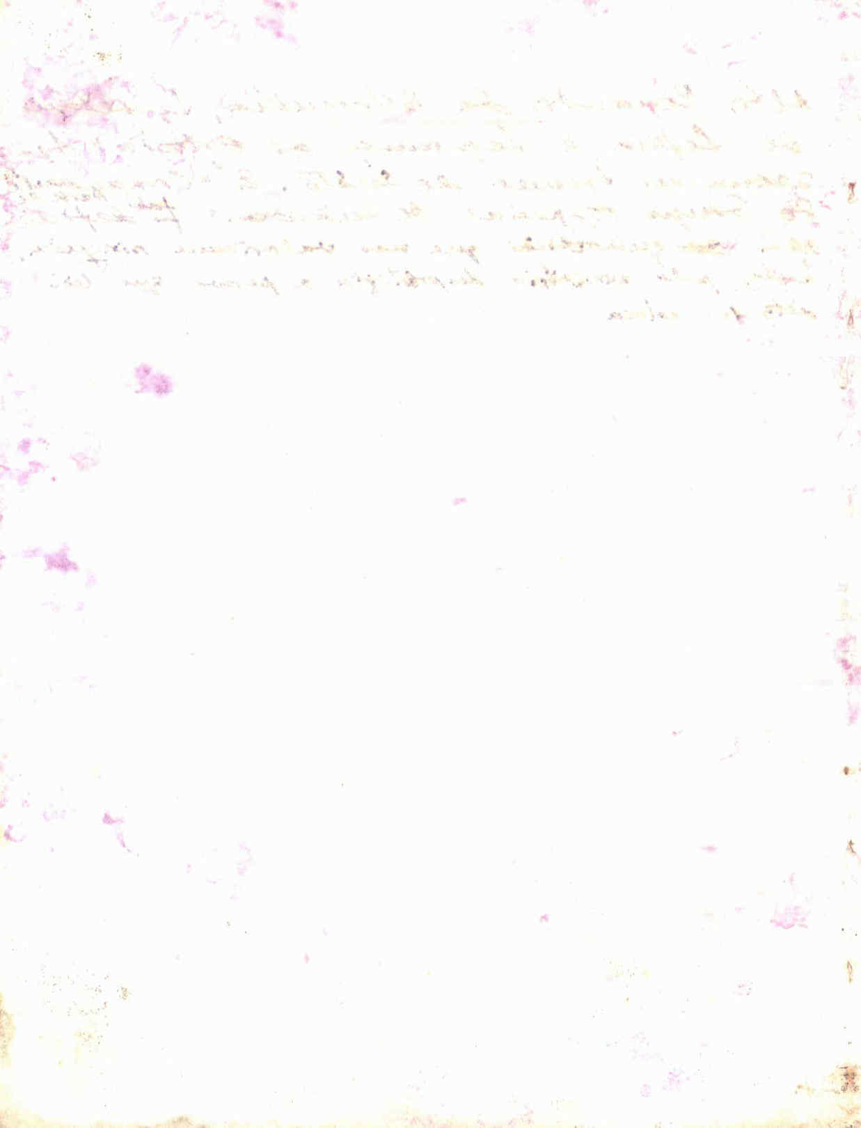 06229.084- pag.8