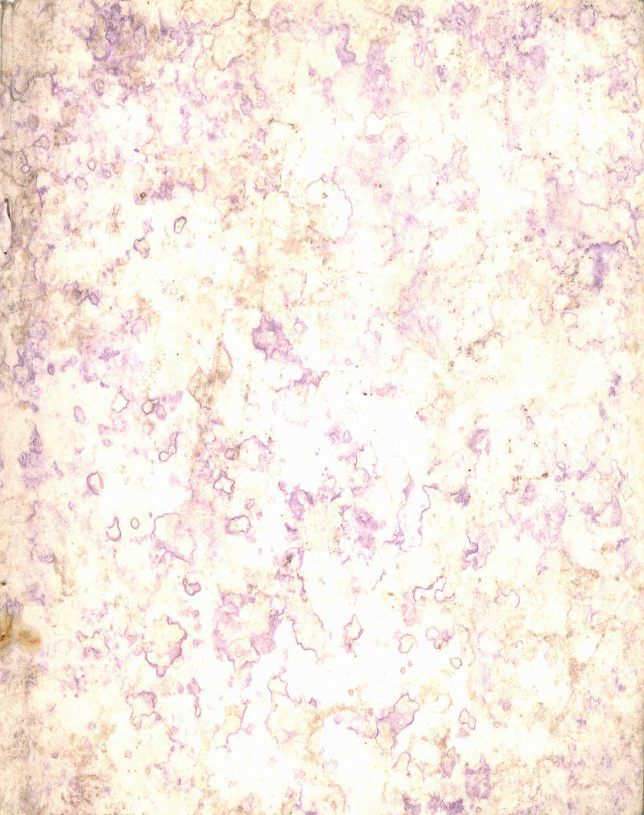 06231.025- pag.19