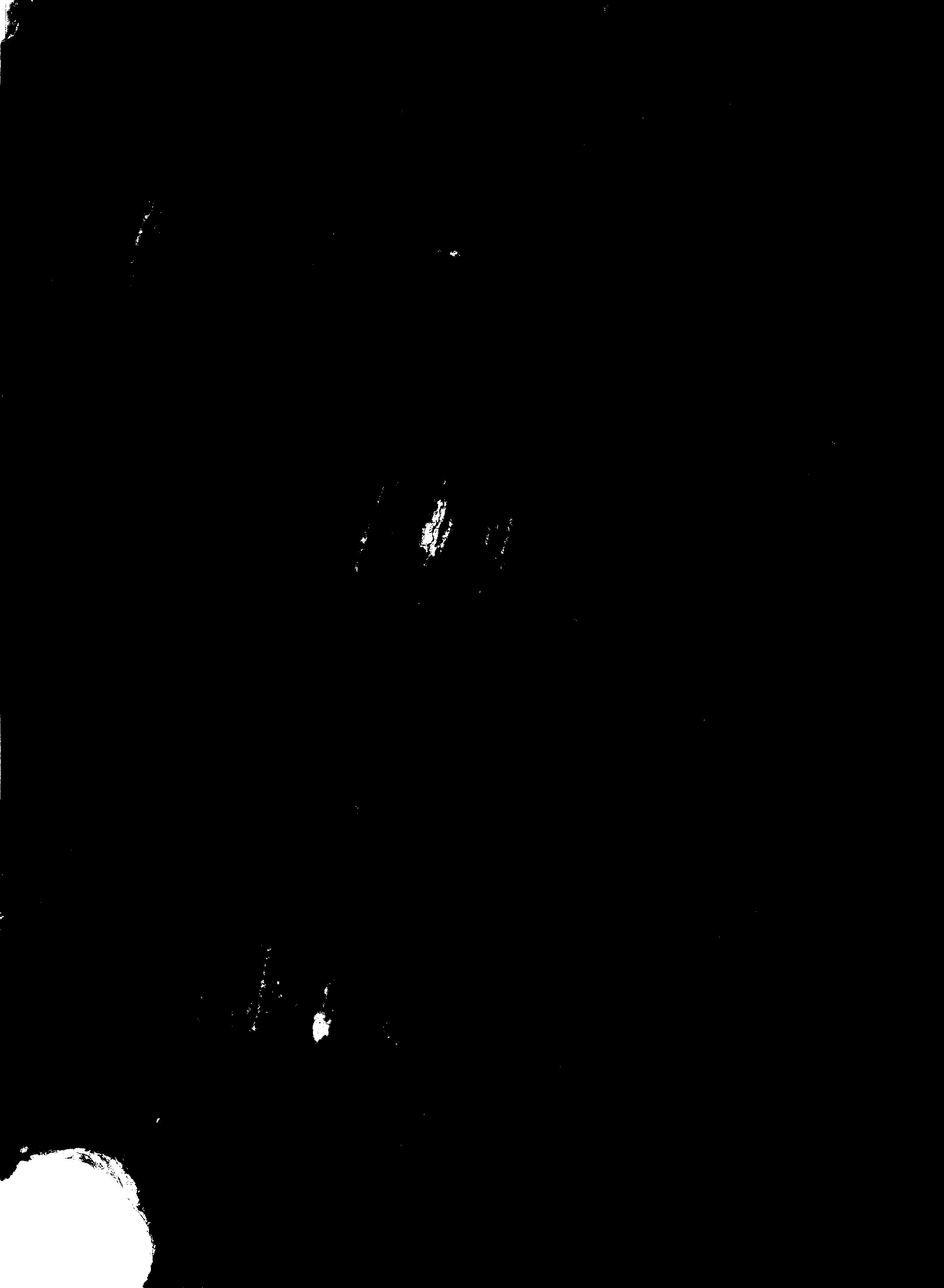 06235.091- pag.21