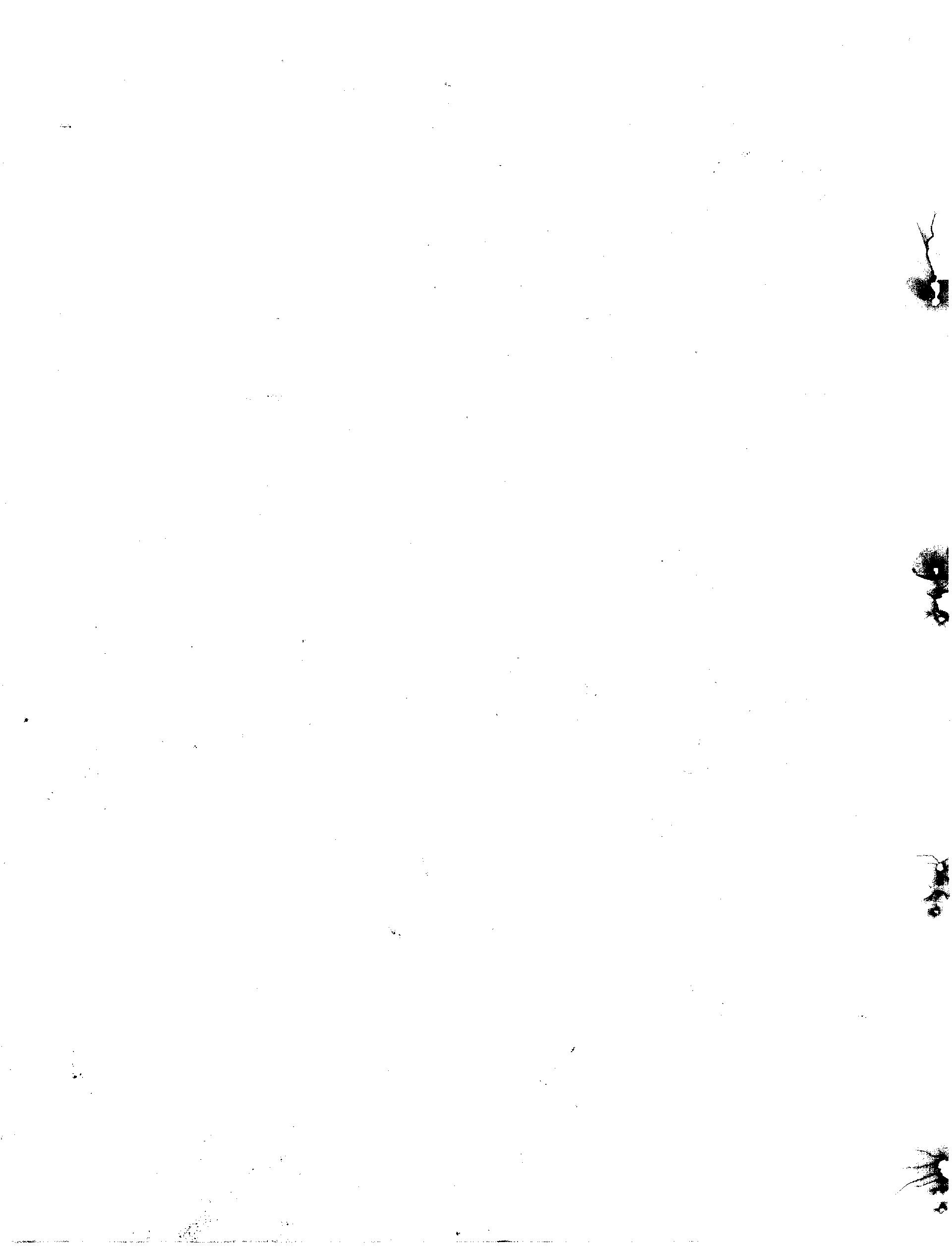 06236.020- pag.13