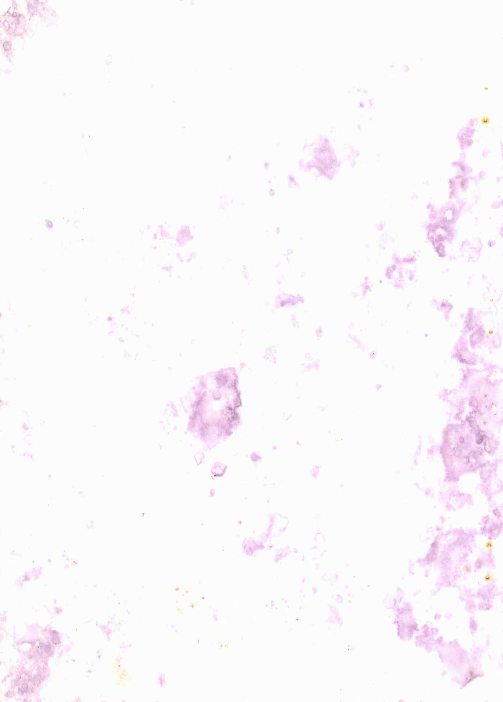 06238.012- pag.9