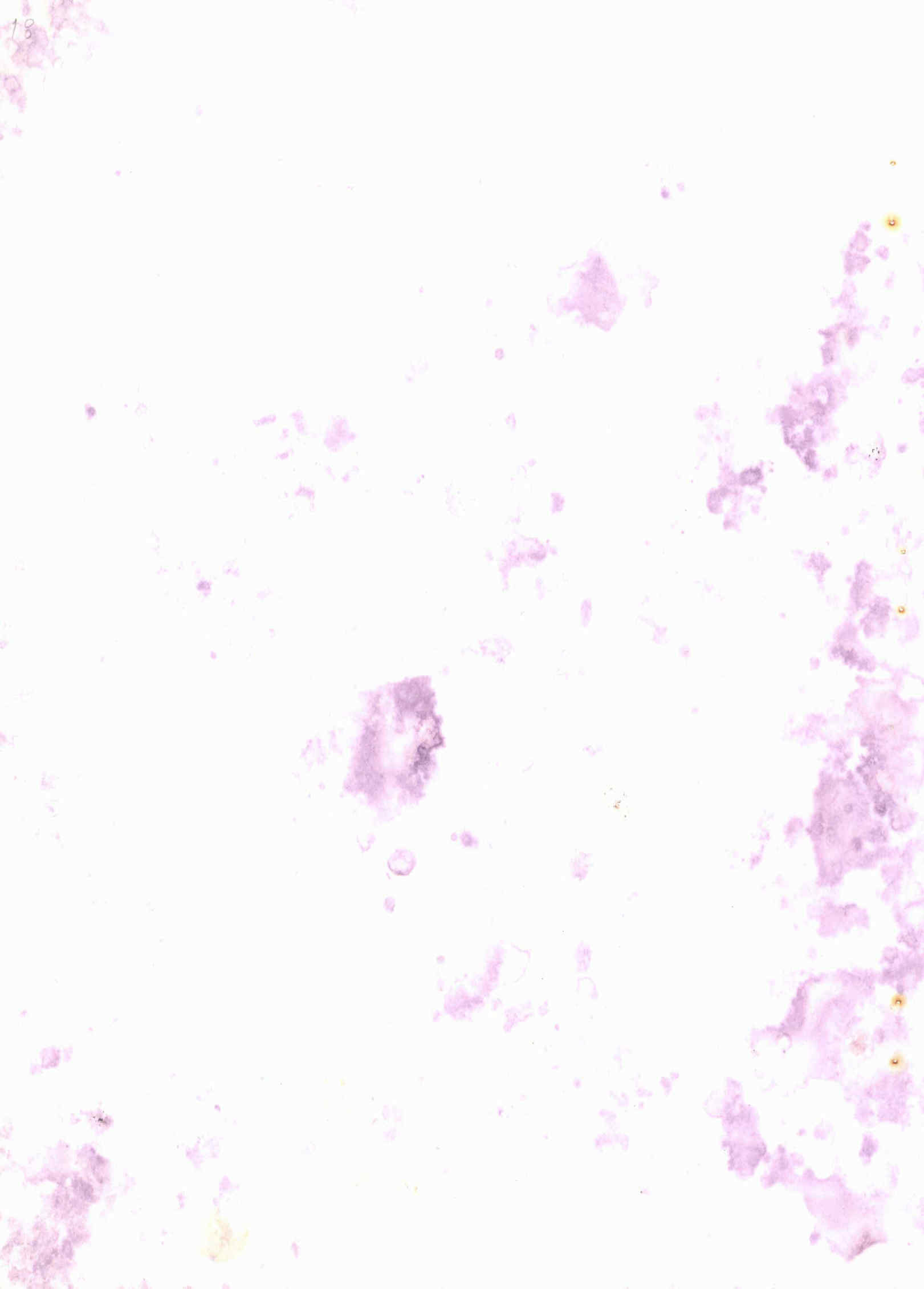 06238.012- pag.11
