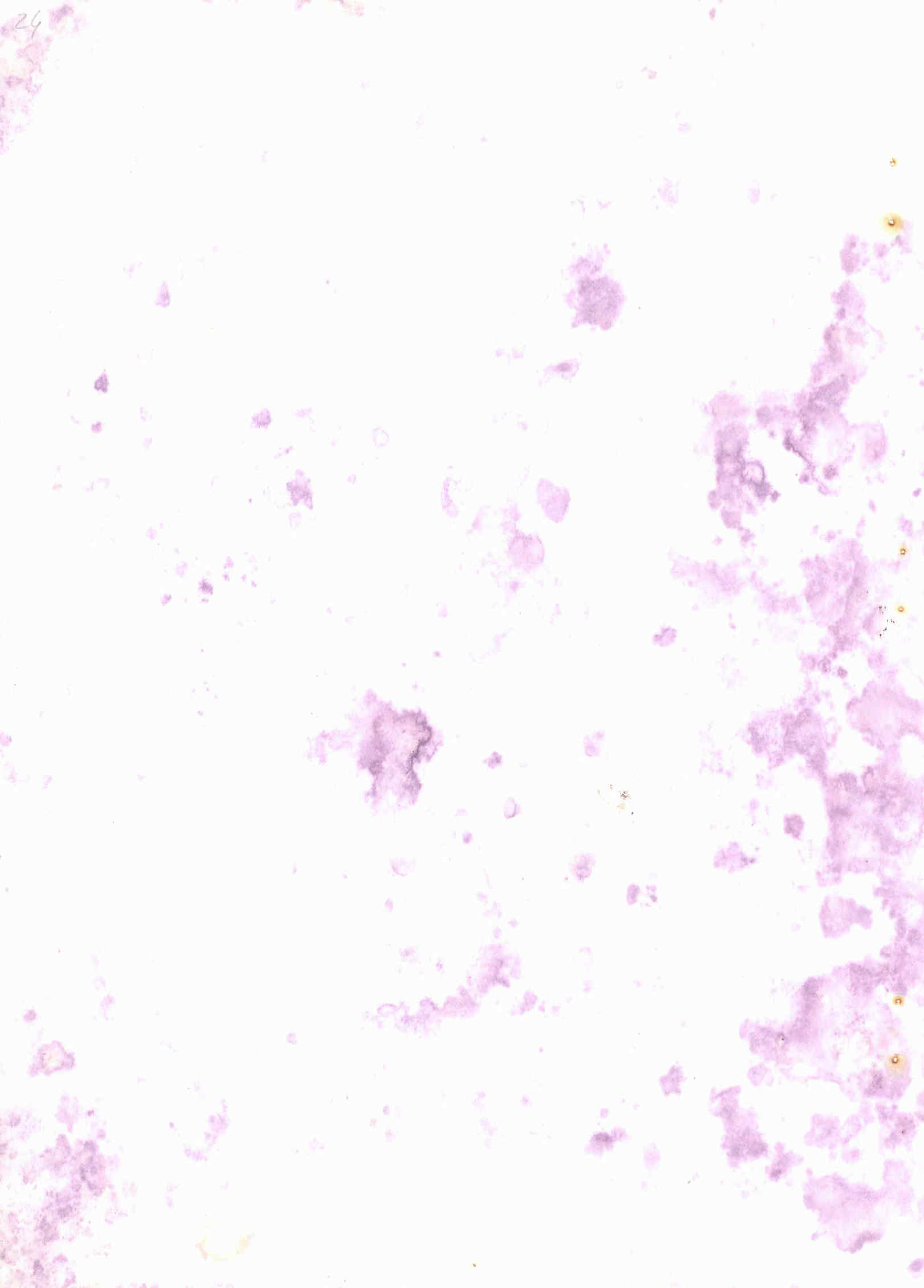 06238.012- pag.16