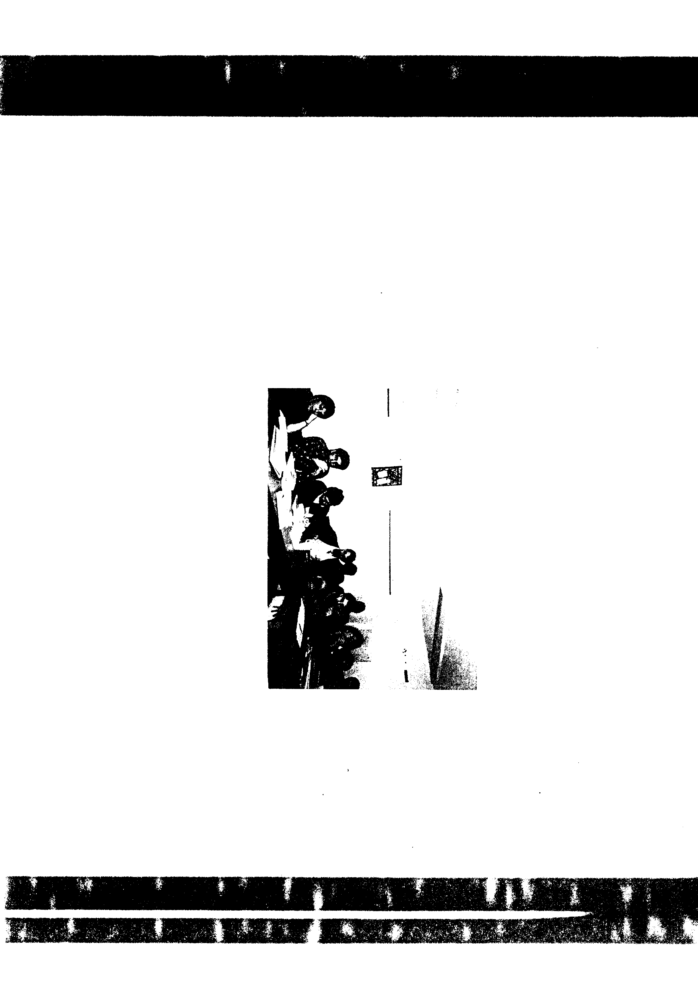 06436.047- pag.33