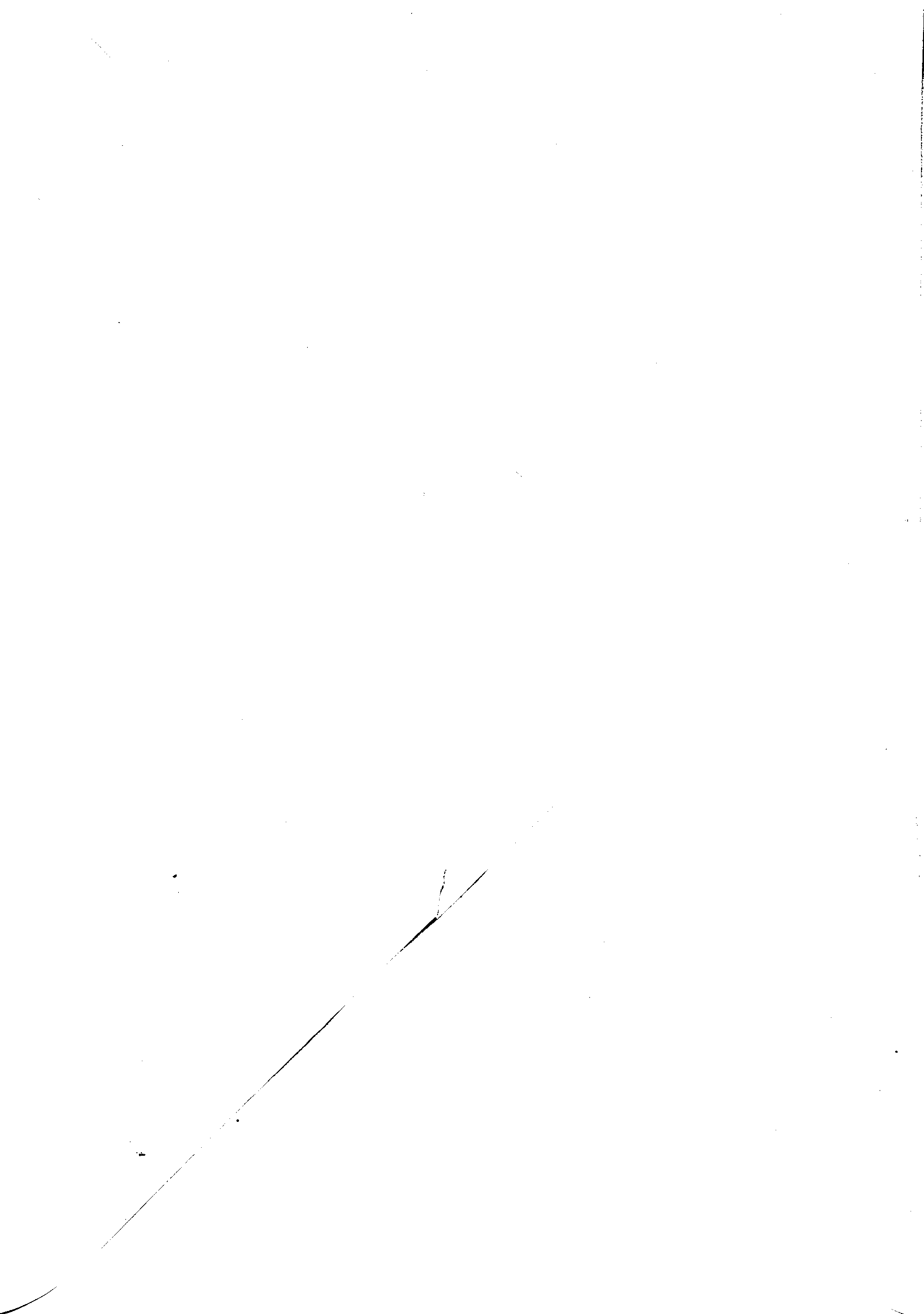 06444.087- pag.2