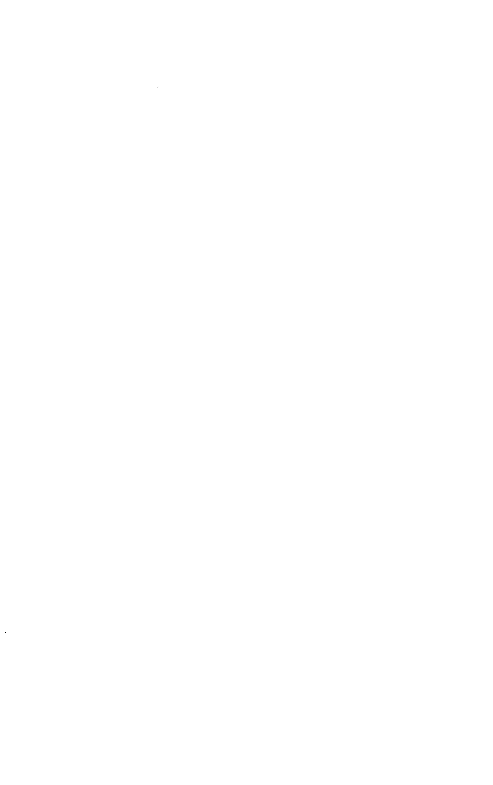 06445.001- pag.91
