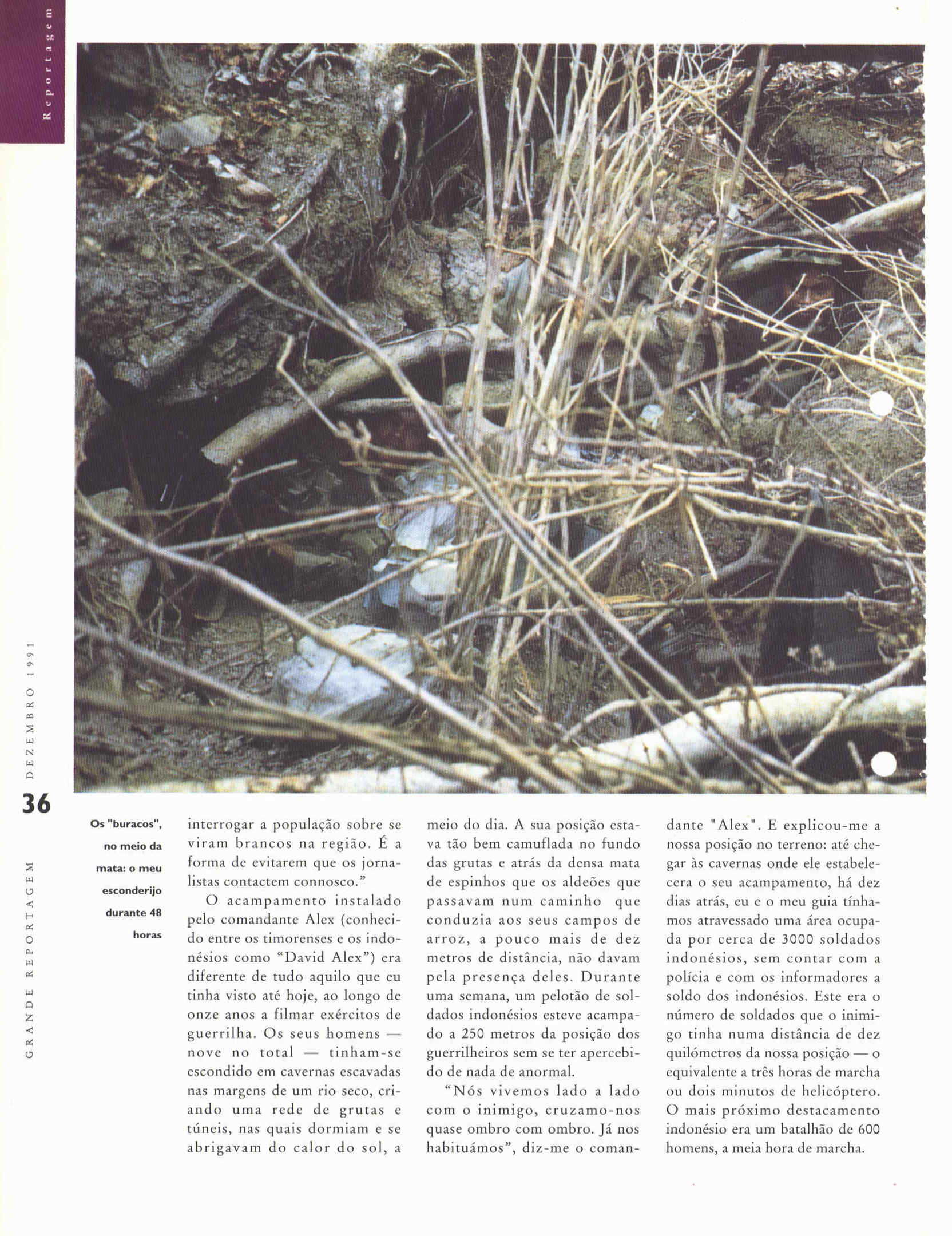 06447.101- pag.48
