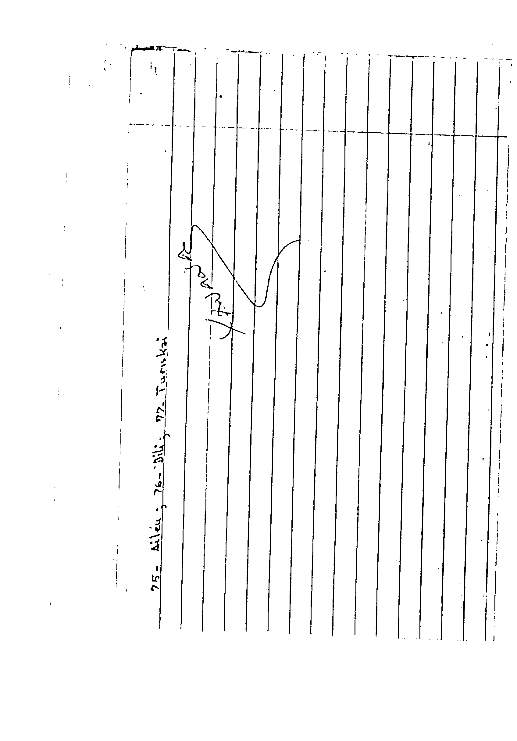 06454.017- pag.13