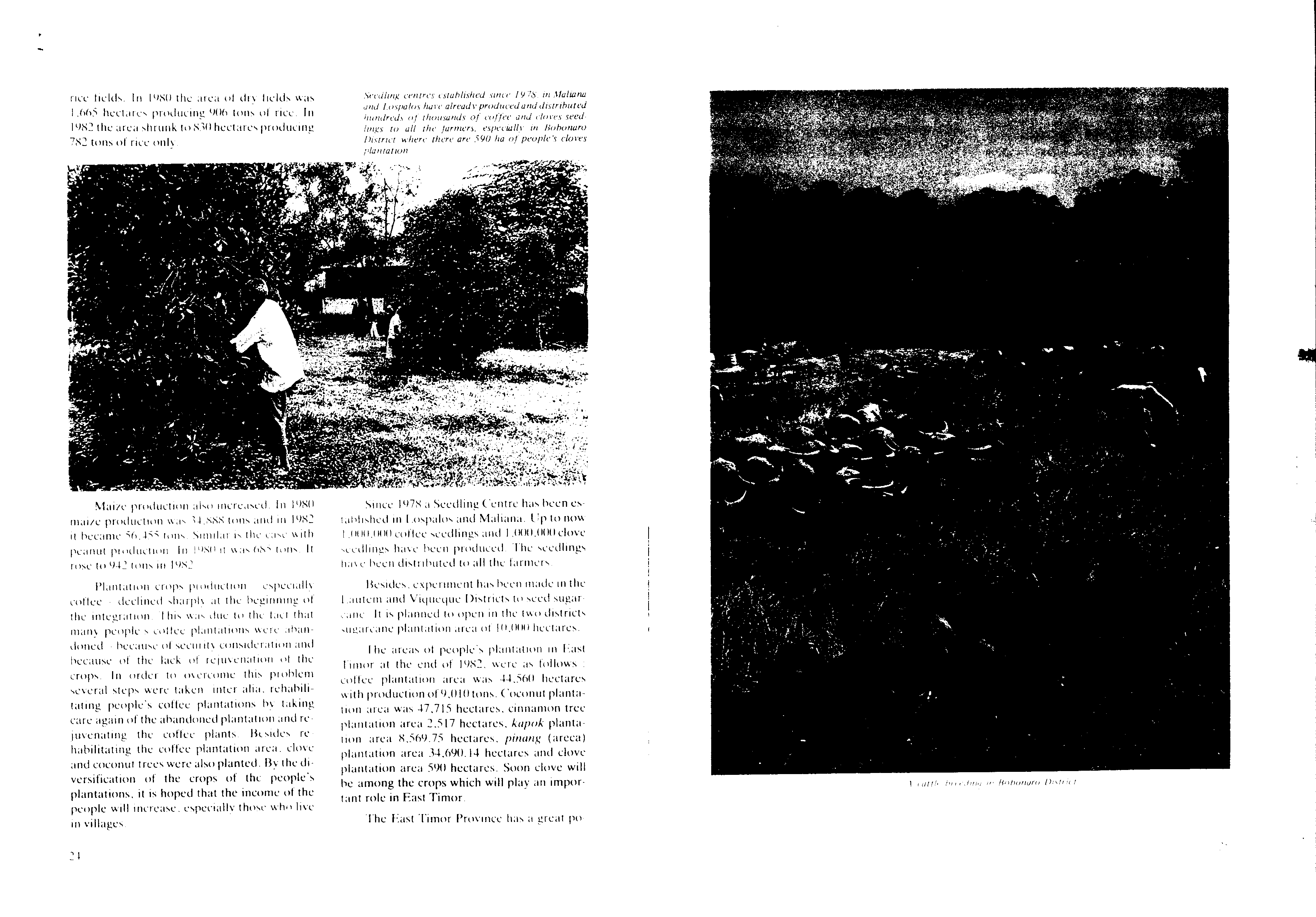 06482.006- pag.17