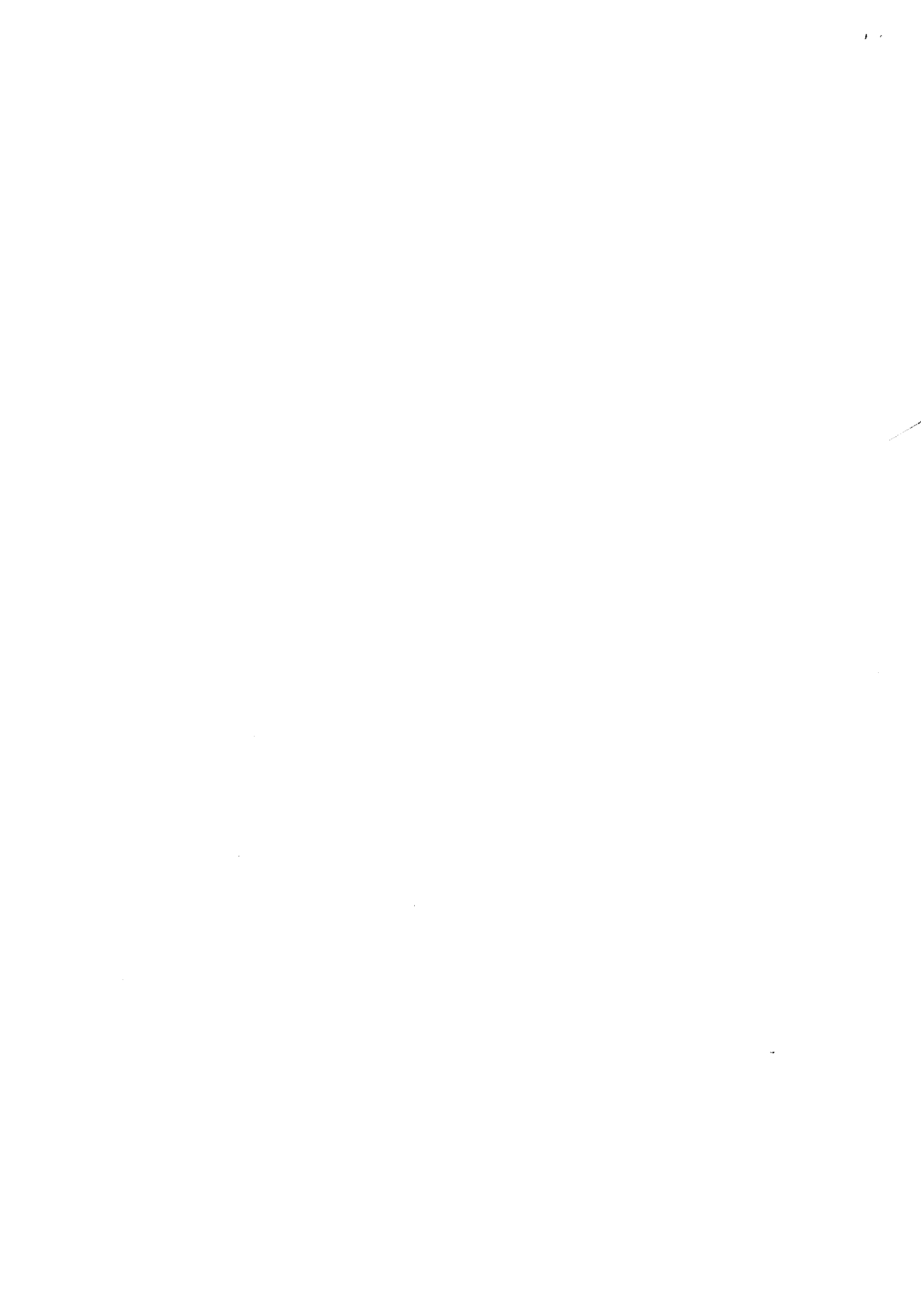 06491.016- pag.31