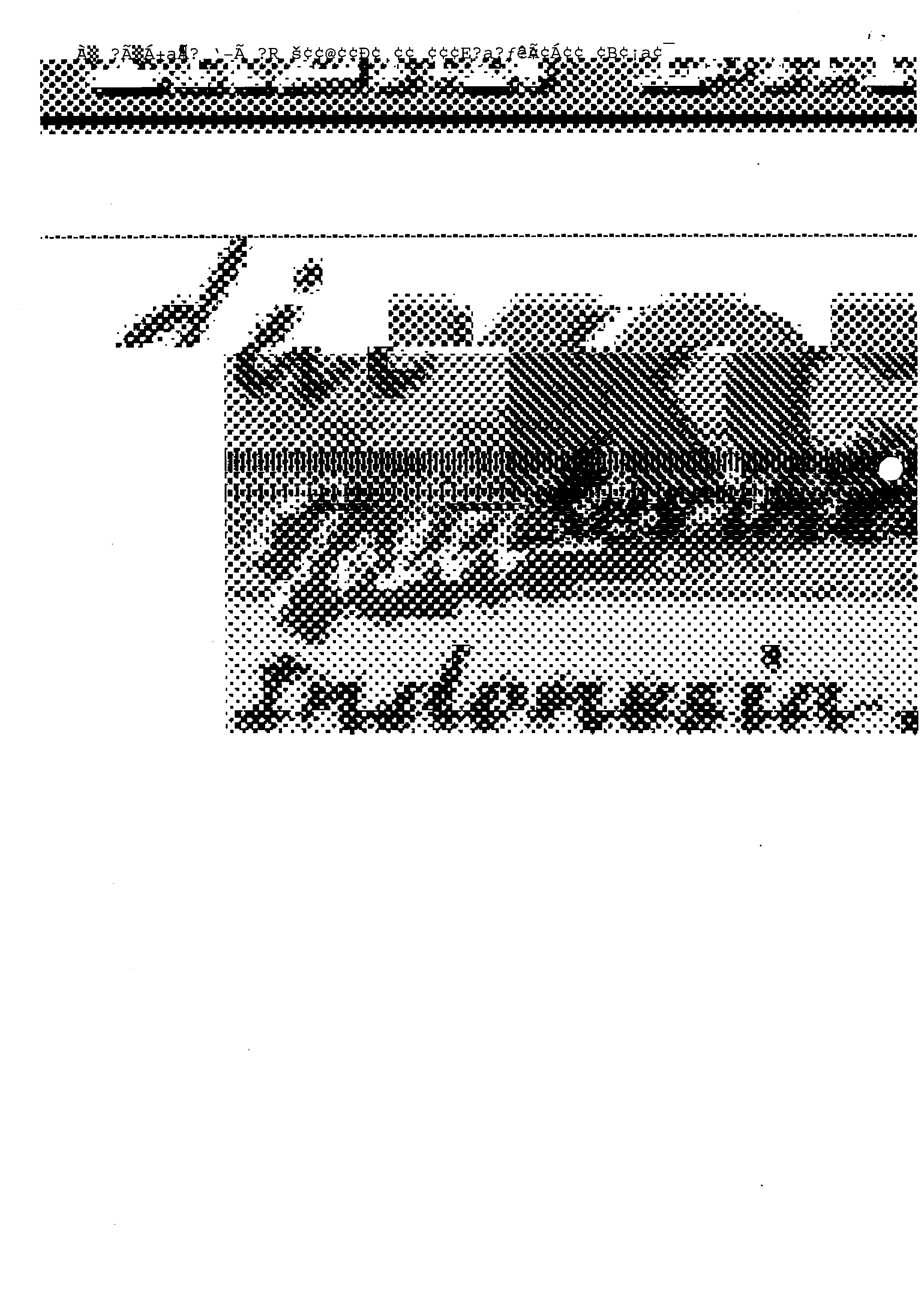 06492.006- pag.19