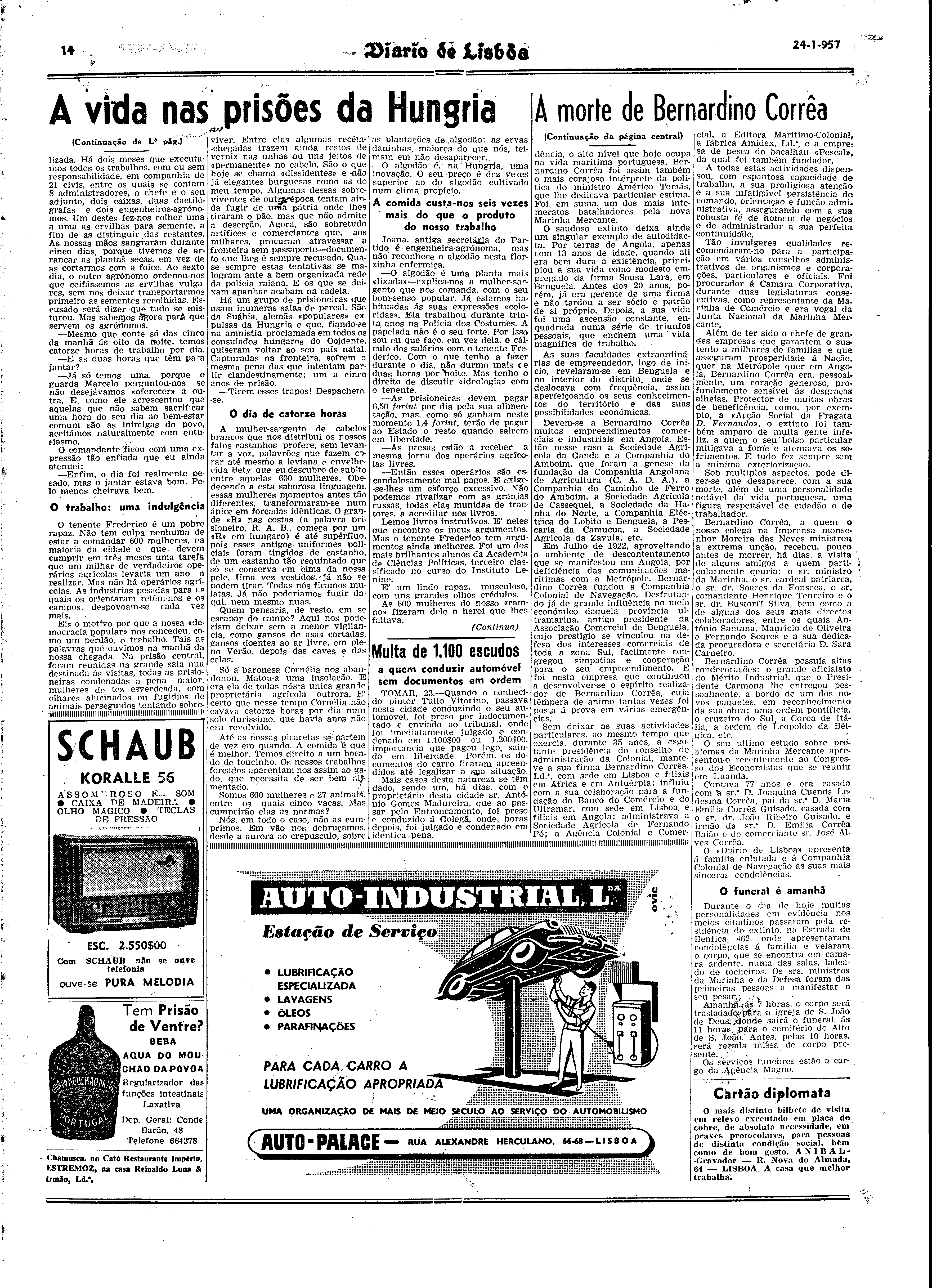 06528.066.15198- pag.14
