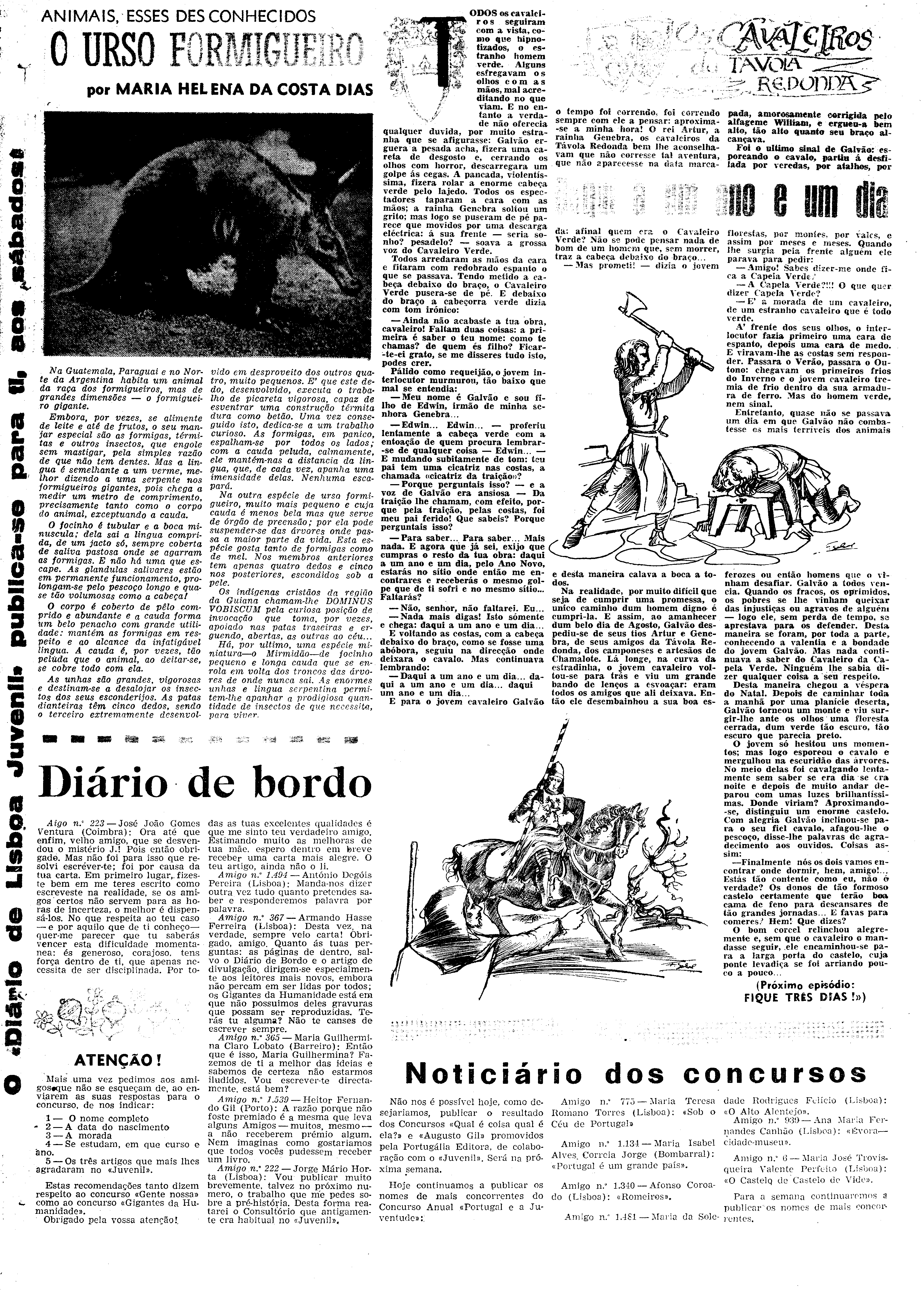 06534.072.16175- pag.31