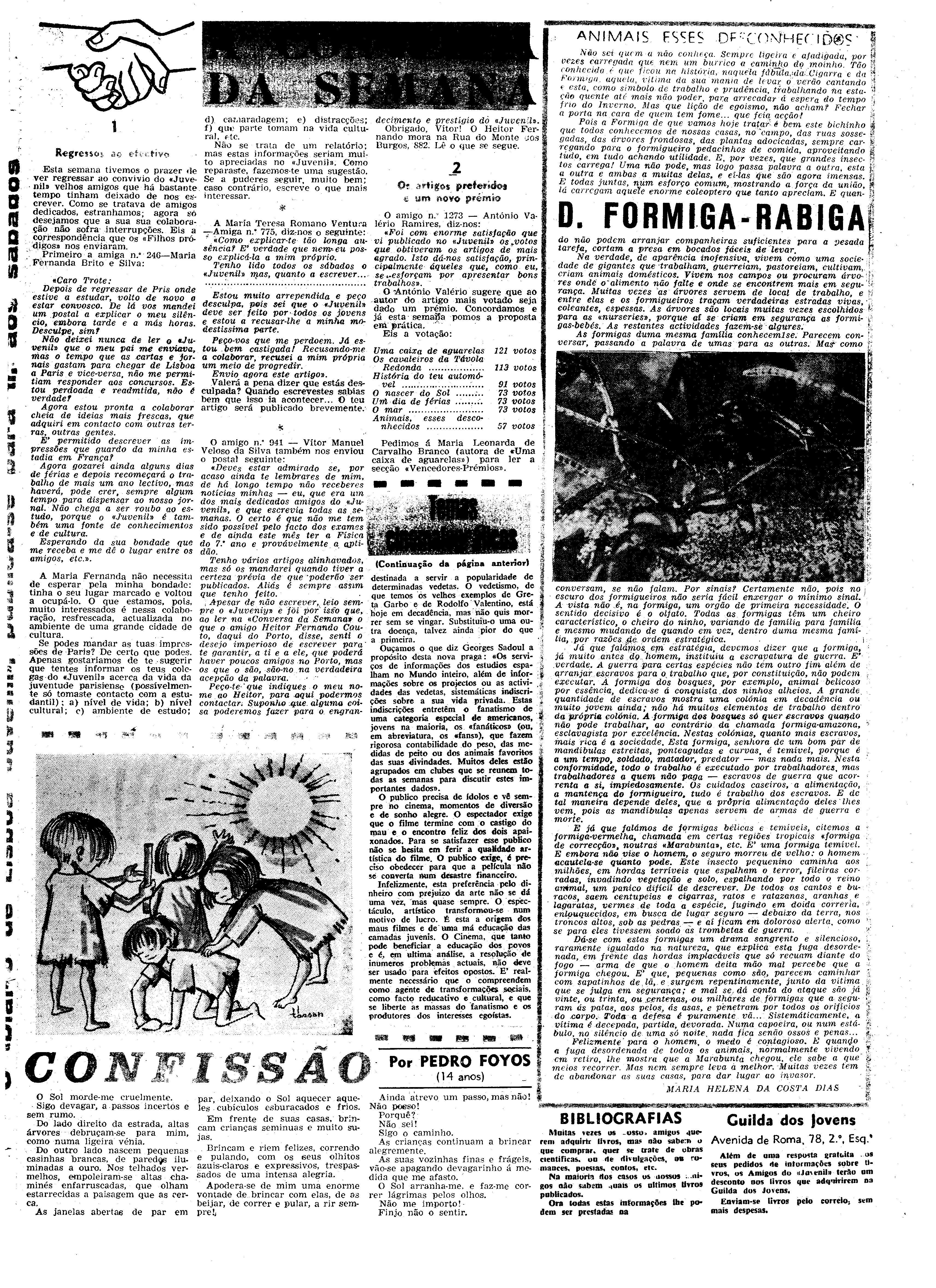 06536.074.16447- pag.31