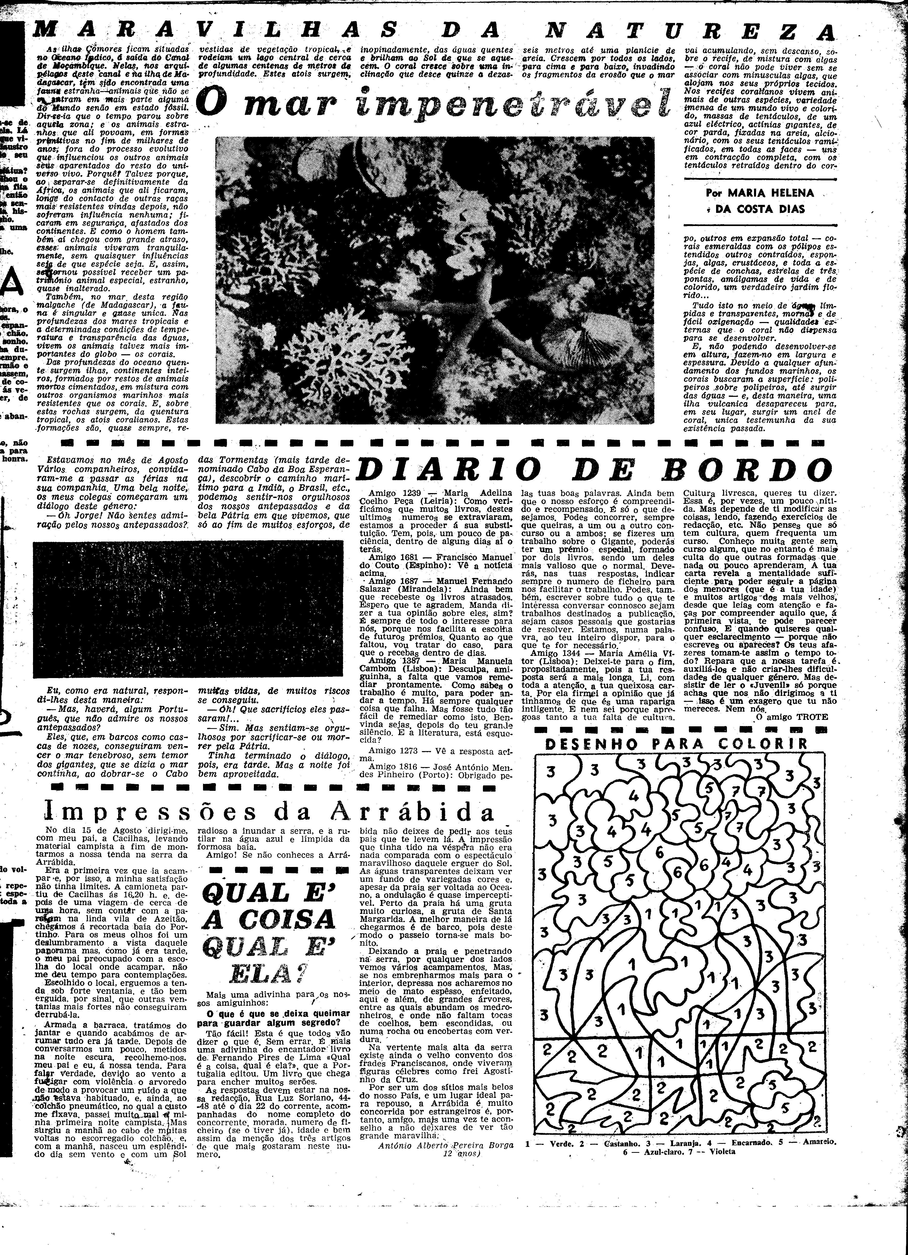 06538.076.16591- pag.31