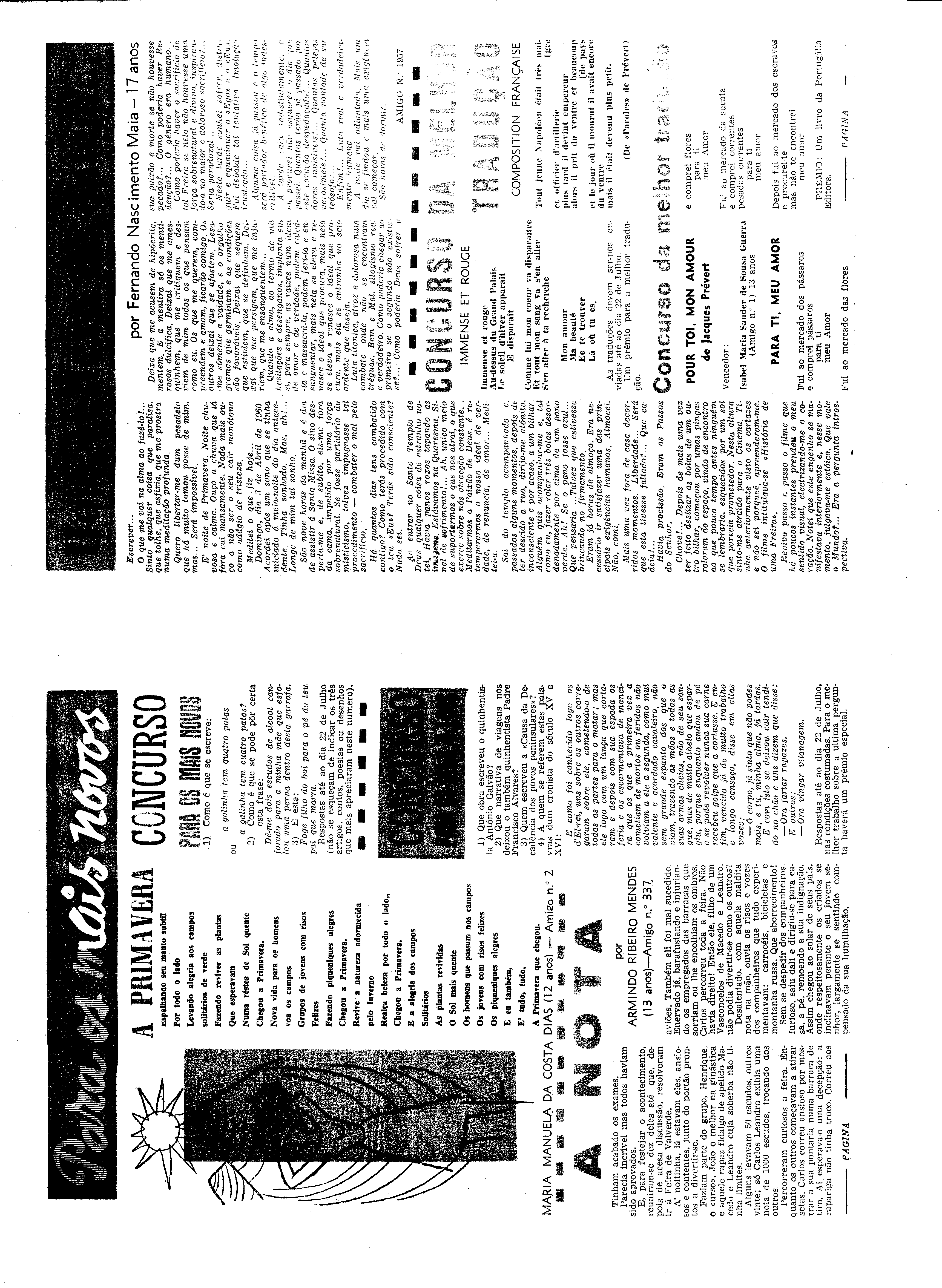 06539.077.16856- pag.31