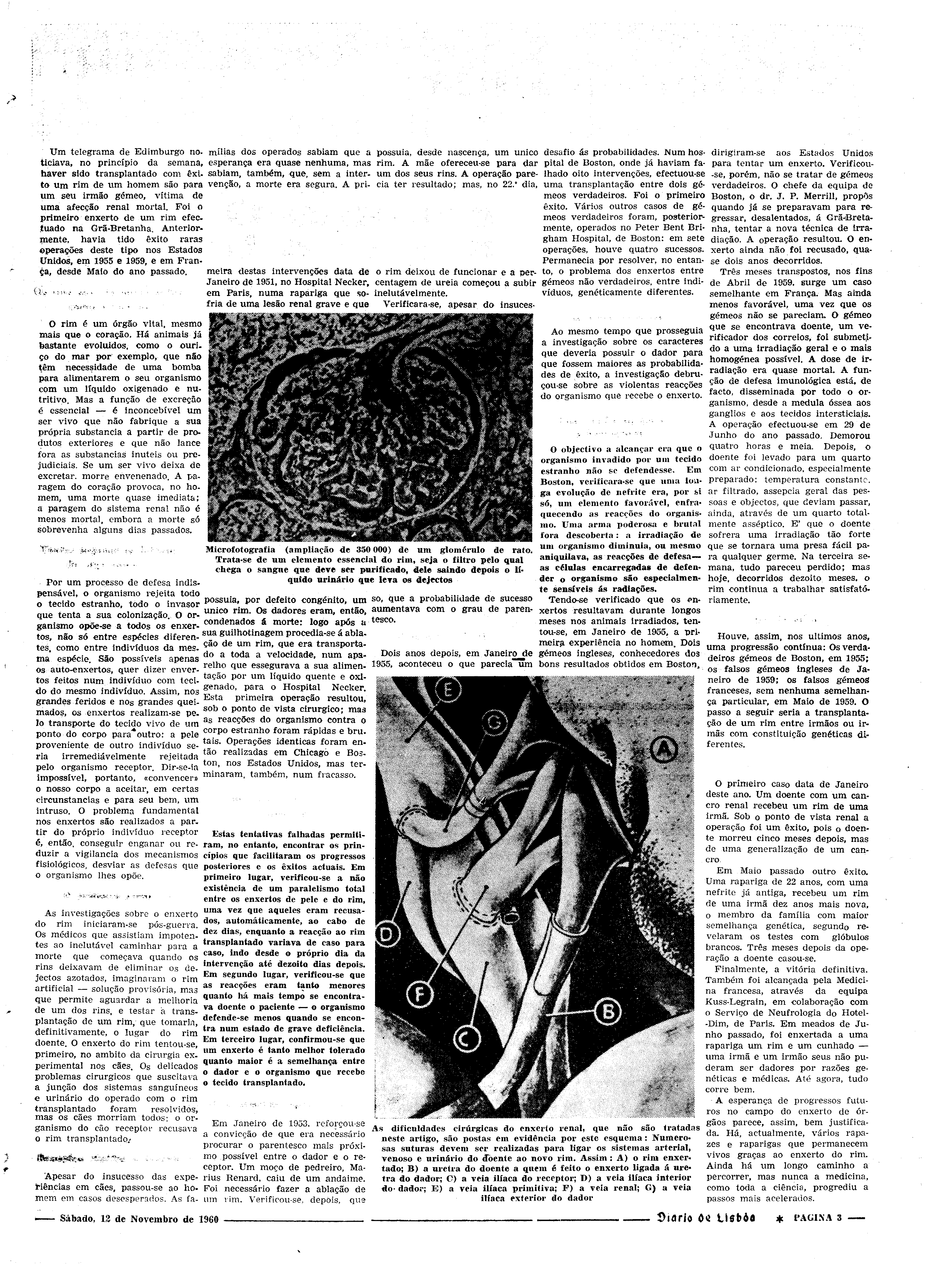 06540.078.17021- pag.19