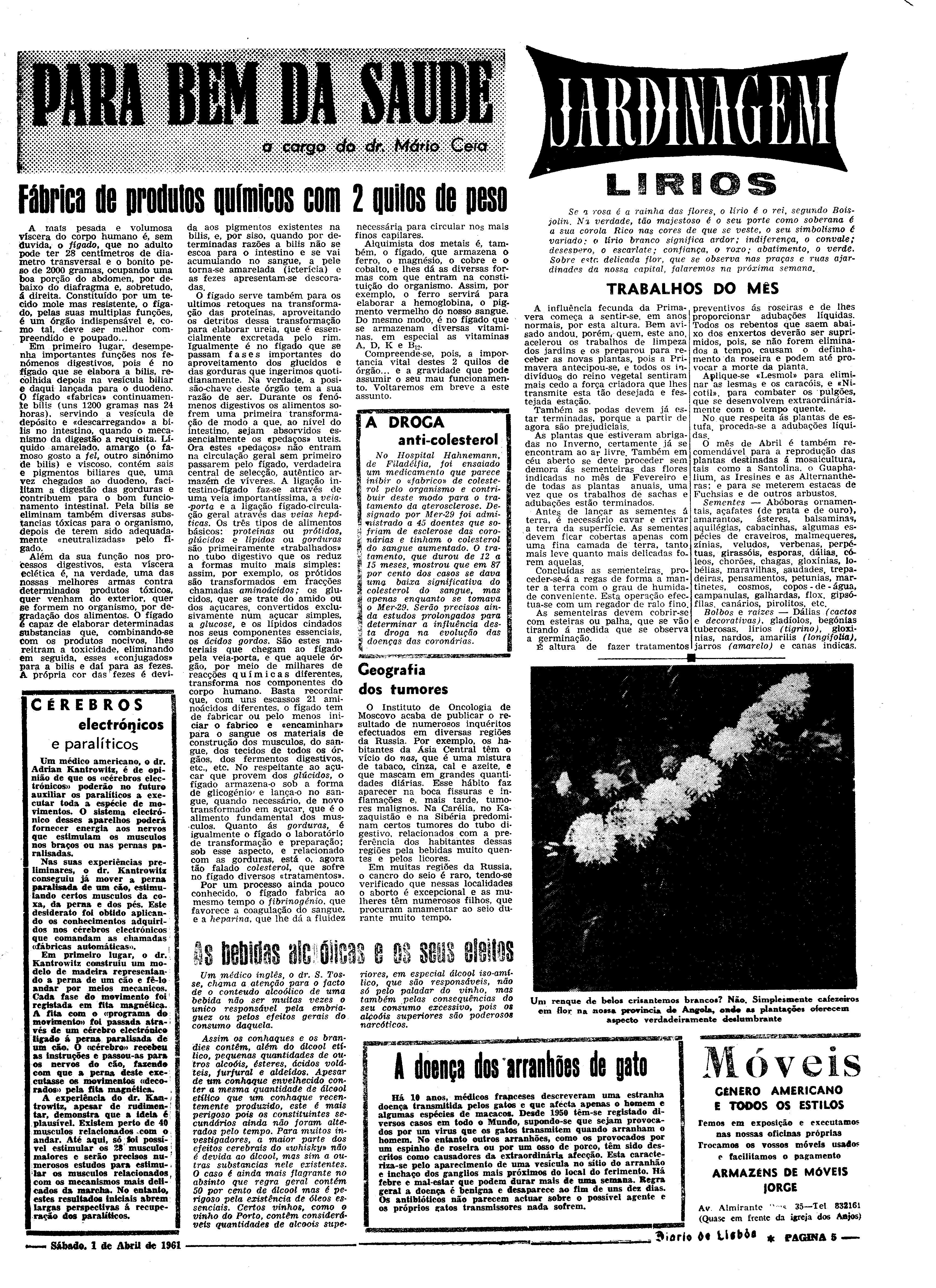 06542.080.17232- pag.21