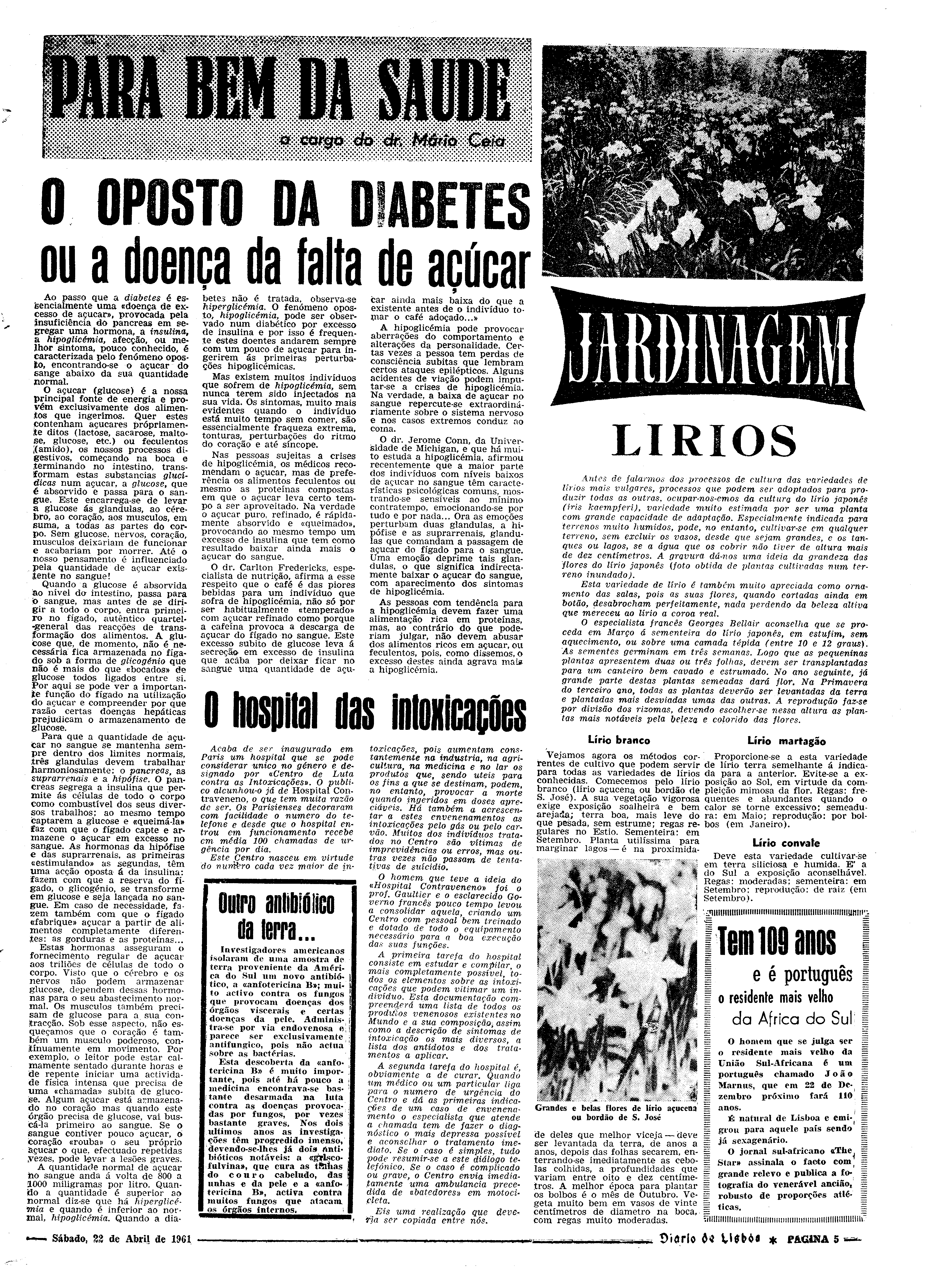 06542.080.17266- pag.21