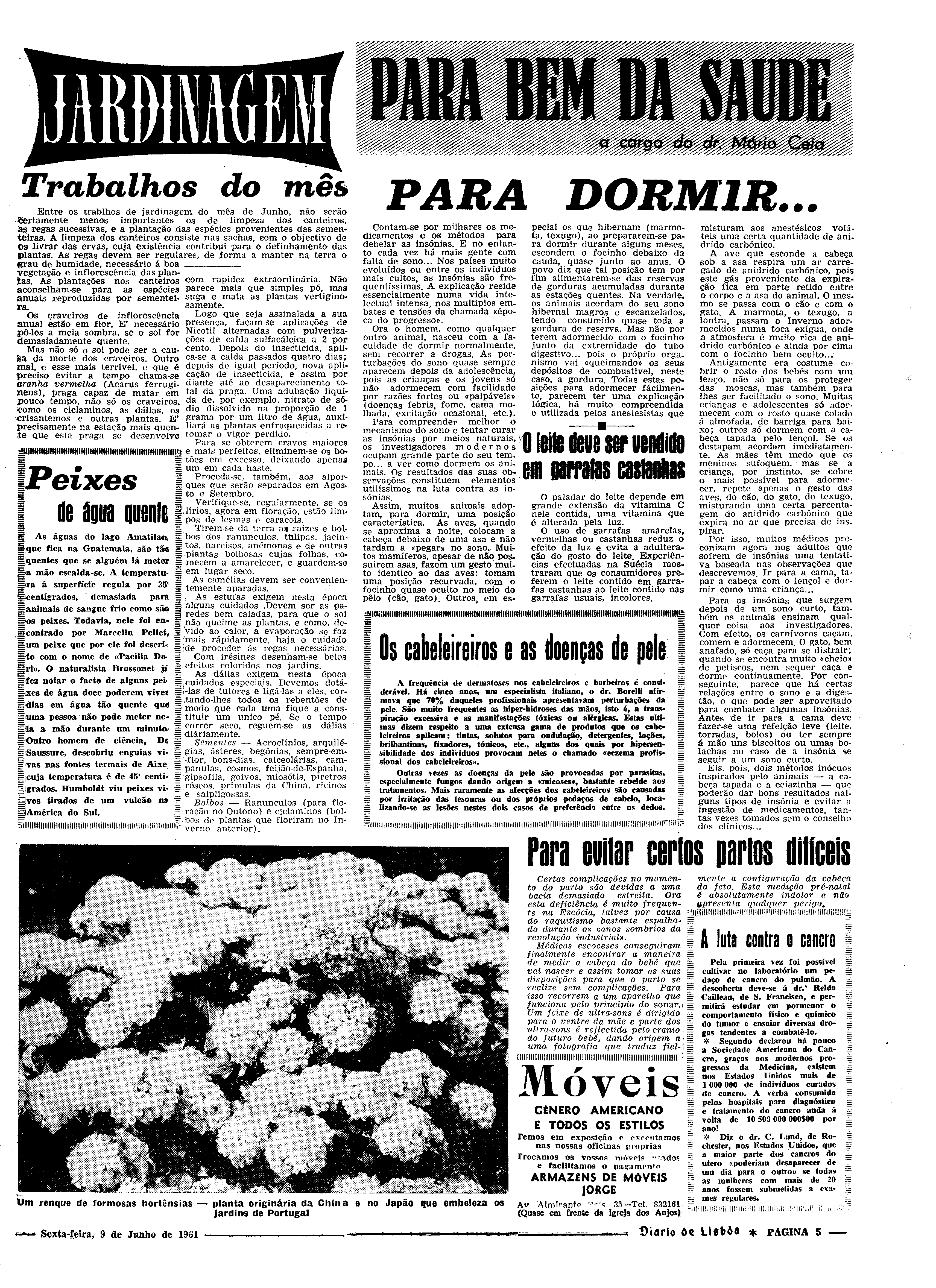 06542.080.17338- pag.21