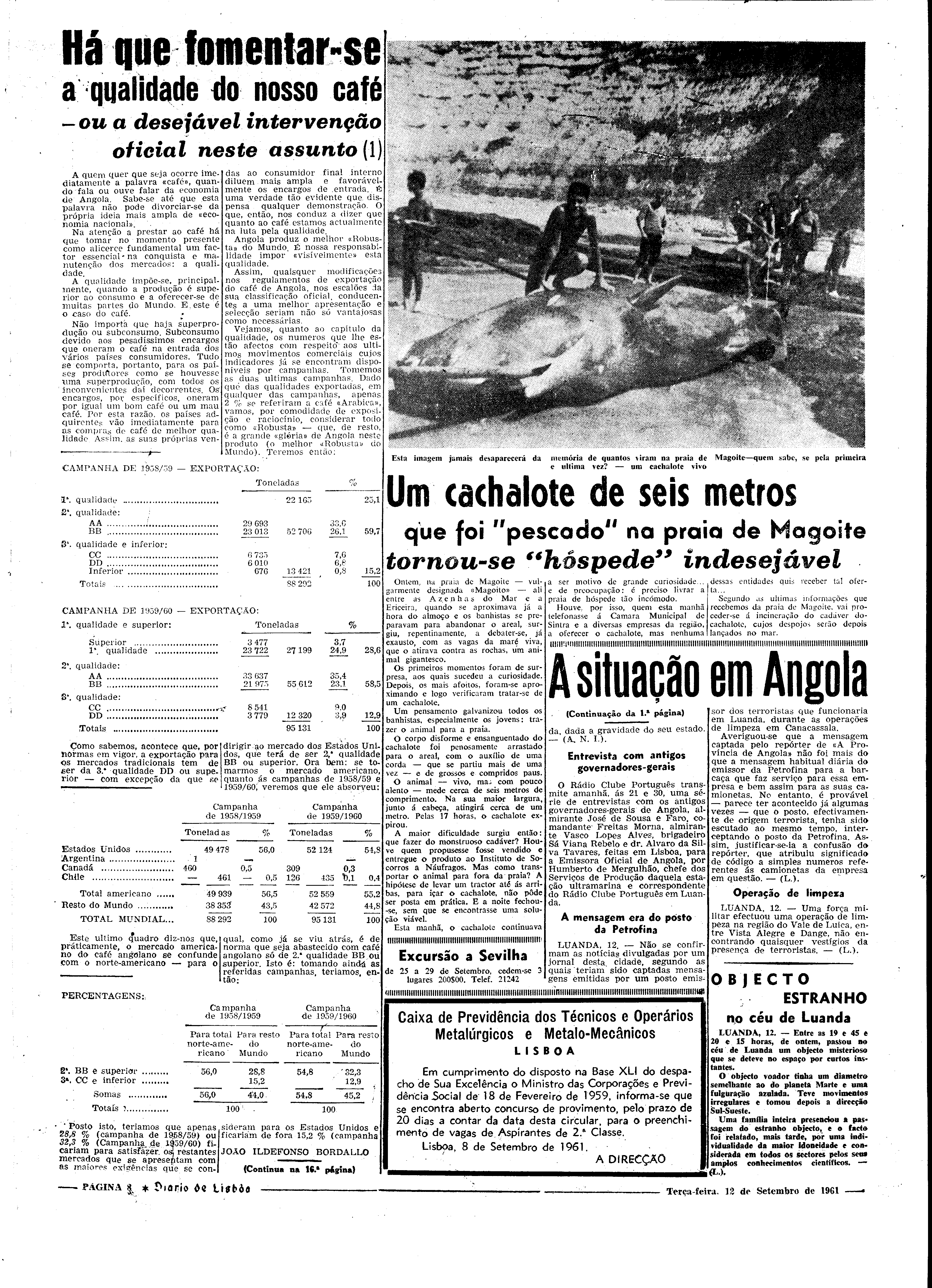 06543.081.17447- pag.8