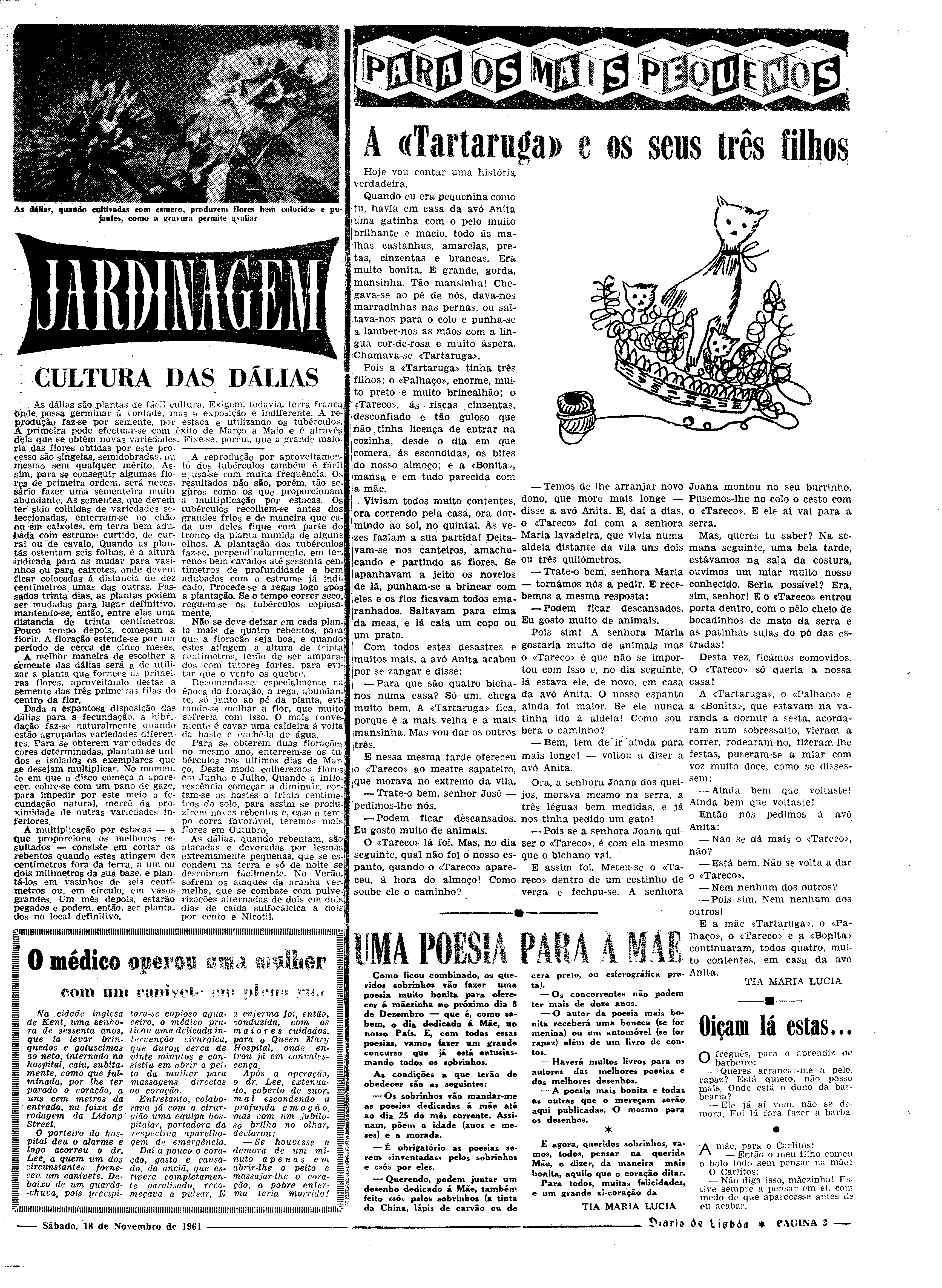 06544.082.17543- pag.19
